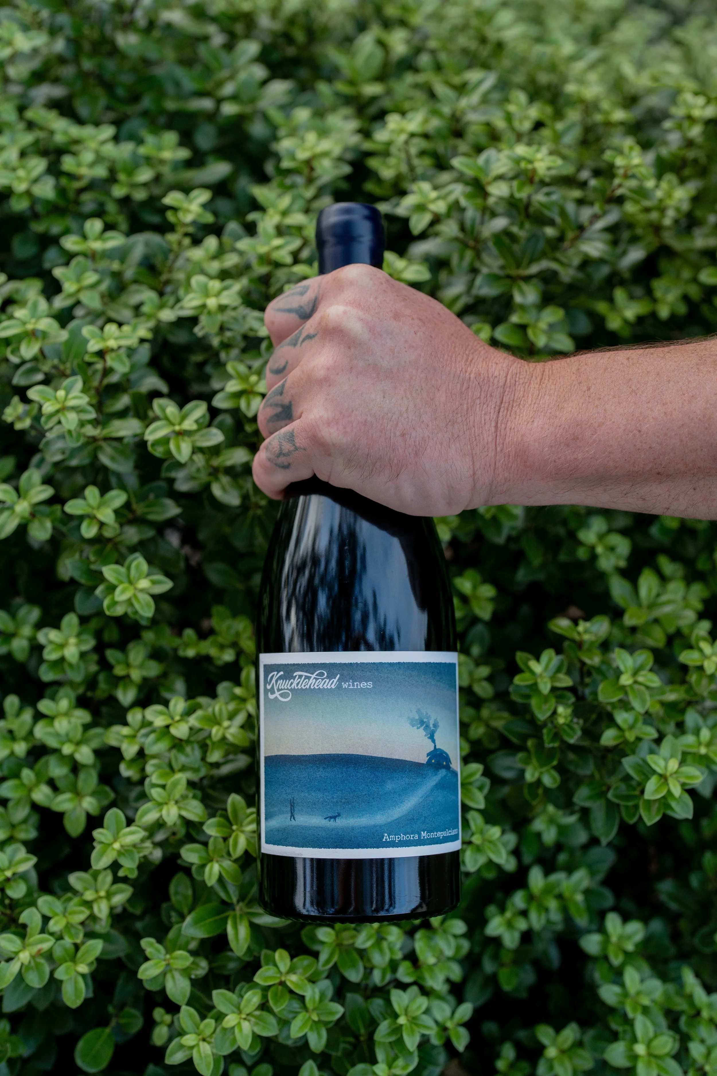 2024 Amphora Montepulciano