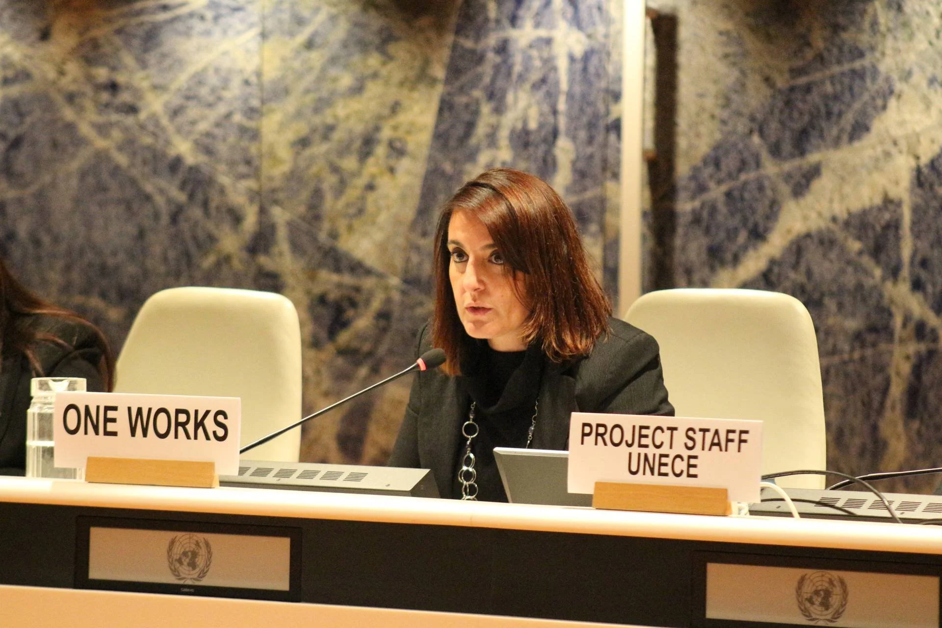 UNECE Committee on Urban Development, Housing, and Land Management