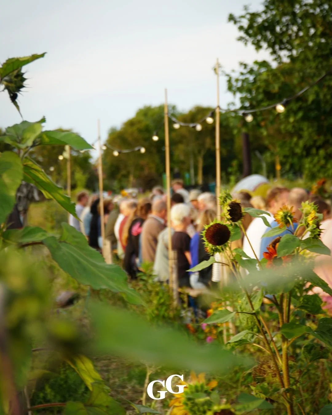 Wat een feest om met zoveel van jullie het seizoen, de tuin, de oogst, de bodem en de gemeenschap te vieren!

We kijken met ontzettend veel dankbaarheid terug op het mooie oogstfeest van afgelopen weekend. Dankzij onze enthousiaste groep vrijwilliger