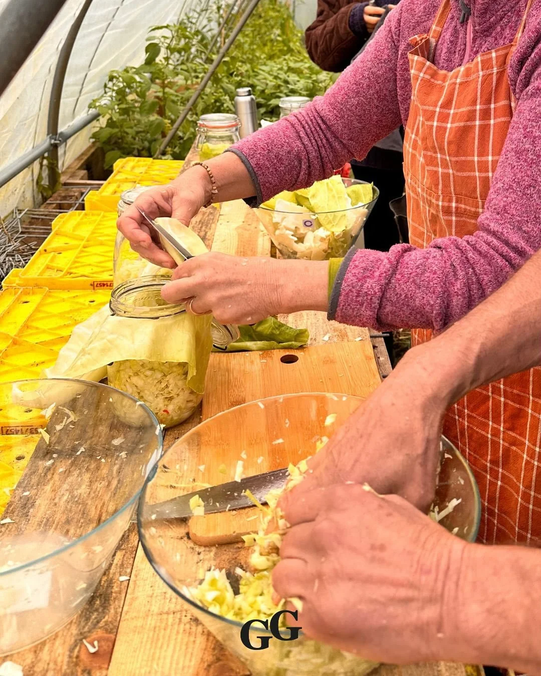 Vorige week gaven we de eerste keer een workshop op de tuin, over fermenteren. 

Naast dat we in de tuin natuurlijk veel groenten hebben, is deze manier van voedsel bewerken helemaal in lijn met een ecologische leefstijl. Fermentatie is een geweldig 