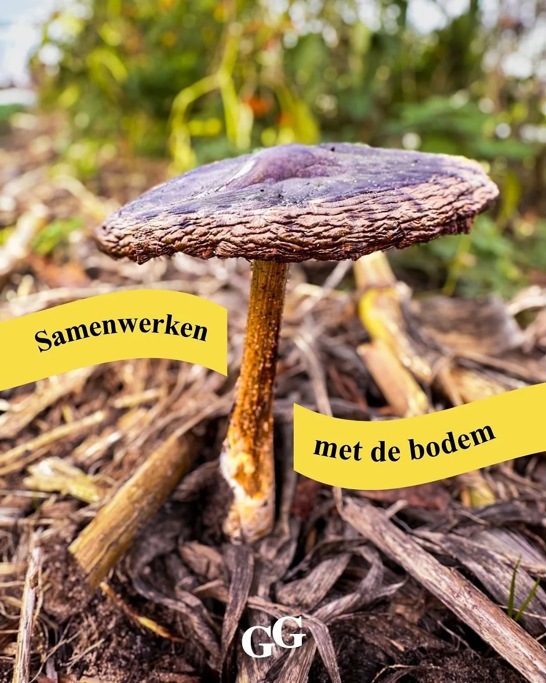 Samenwerken met de natuur.

De afgelopen weken doken we met een fijne groep deelnemers steeds dieper de wereld van de tuin in. Soms figuurlijk, soms letterlijk. 

Tijdens de eerste workshop ontdekten we hoe je als mens kunt samenwerken met de natuur.