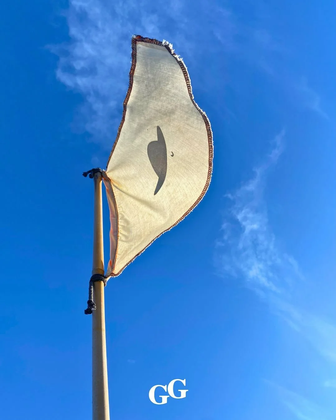 Zon op ons gezicht, koude handen om een warme mok. Zo sloten we zaterdag het oogstseizoen af.
 De tuin gaf nog volop: spruitjes, palmkool, rode kool, pompoen, sla en aardperen, om er maar een paar te noemen.

Tussen het oogsten door was er warme choc