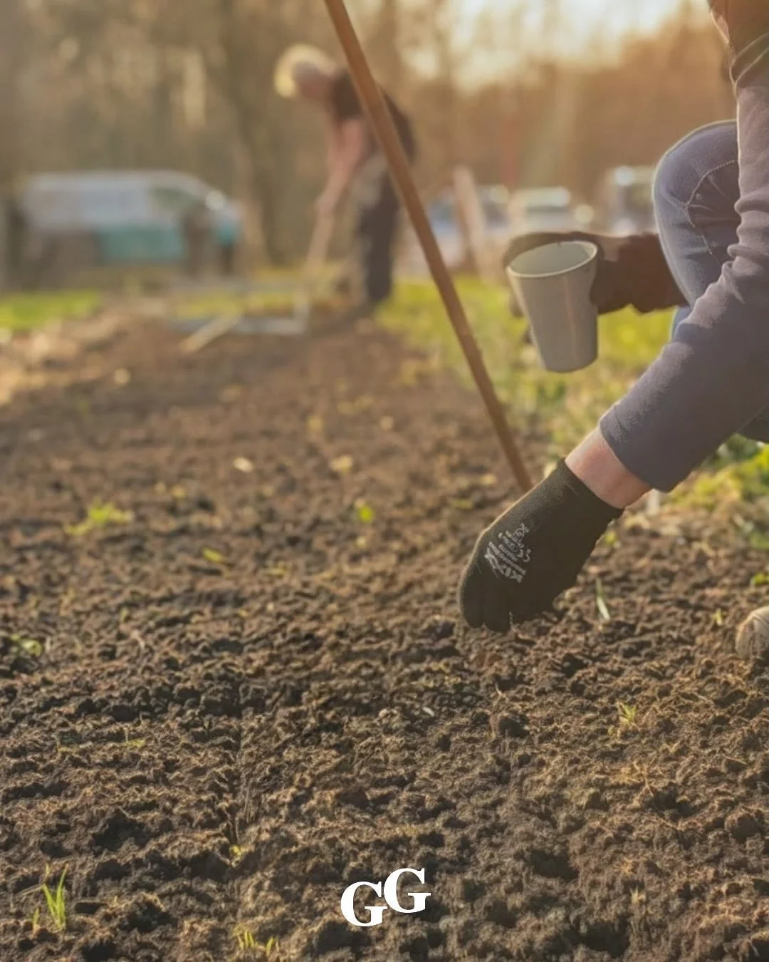 Een nieuw seizoen in aantocht 🌱
.
.
.
#hetgroentegenootschap #zelfoogsttuin #lokaalgeteeld #seizoensgroenten #korteketen #gemeenschap #duurzaam #onbespotengroente #lenteopkomst