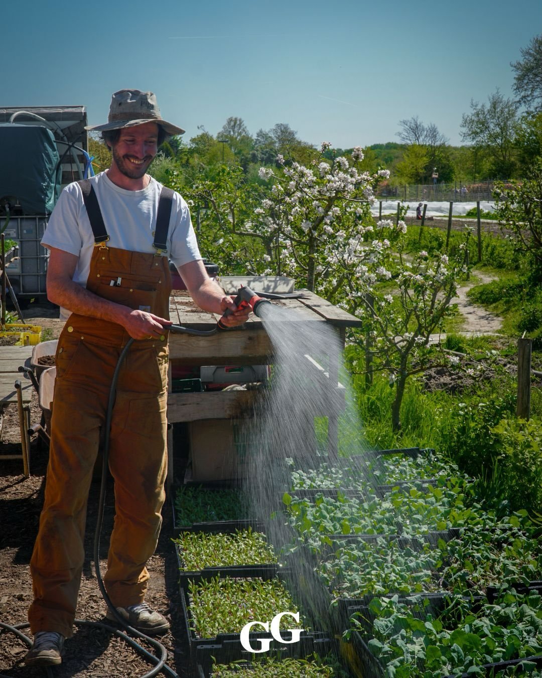 We begonnen alvast een klein beetje!

Eigenlijk vindt de offici&euml;le opening van het seizoen pas 9 mei plaats, maar de andijvie en de sla groeide de kas uit! Ook waren er al prachtige rabarber en groene asperges.

Tijdens het planten van nieuwe ge