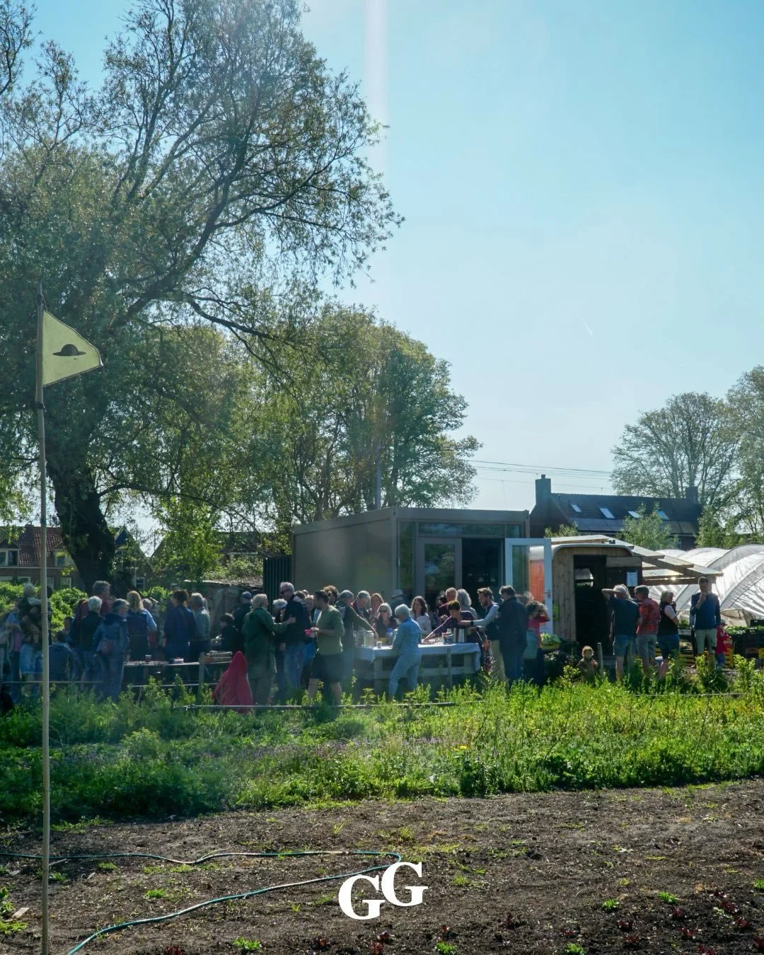 We zijn officieel begonnen! 

Afgelopen zaterdag openden we het oogstseizoen. Zowel in Castricum als in Heemskerk.

Met muziek, lekkere baksels, de zon, fijne (nieuwe) Groentegenoten en uiteraard ook oogst! 

Prachtige grote kroppen sla, andijvie, pr