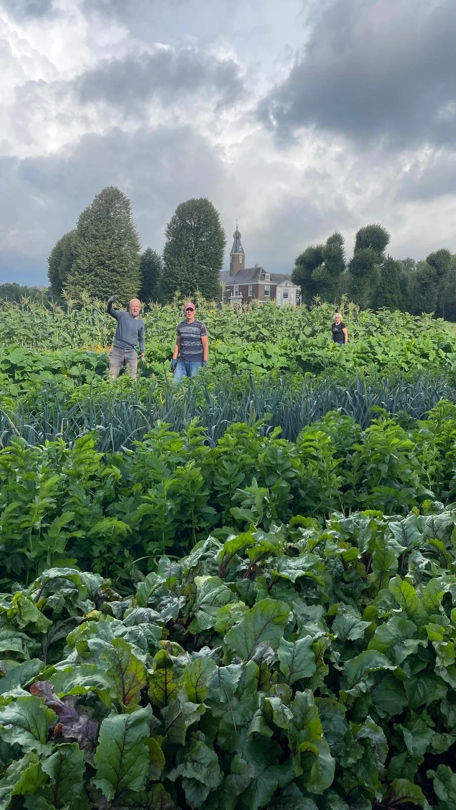 WhatsApp Image 2025-09-02 at 14.59.40.jpeg