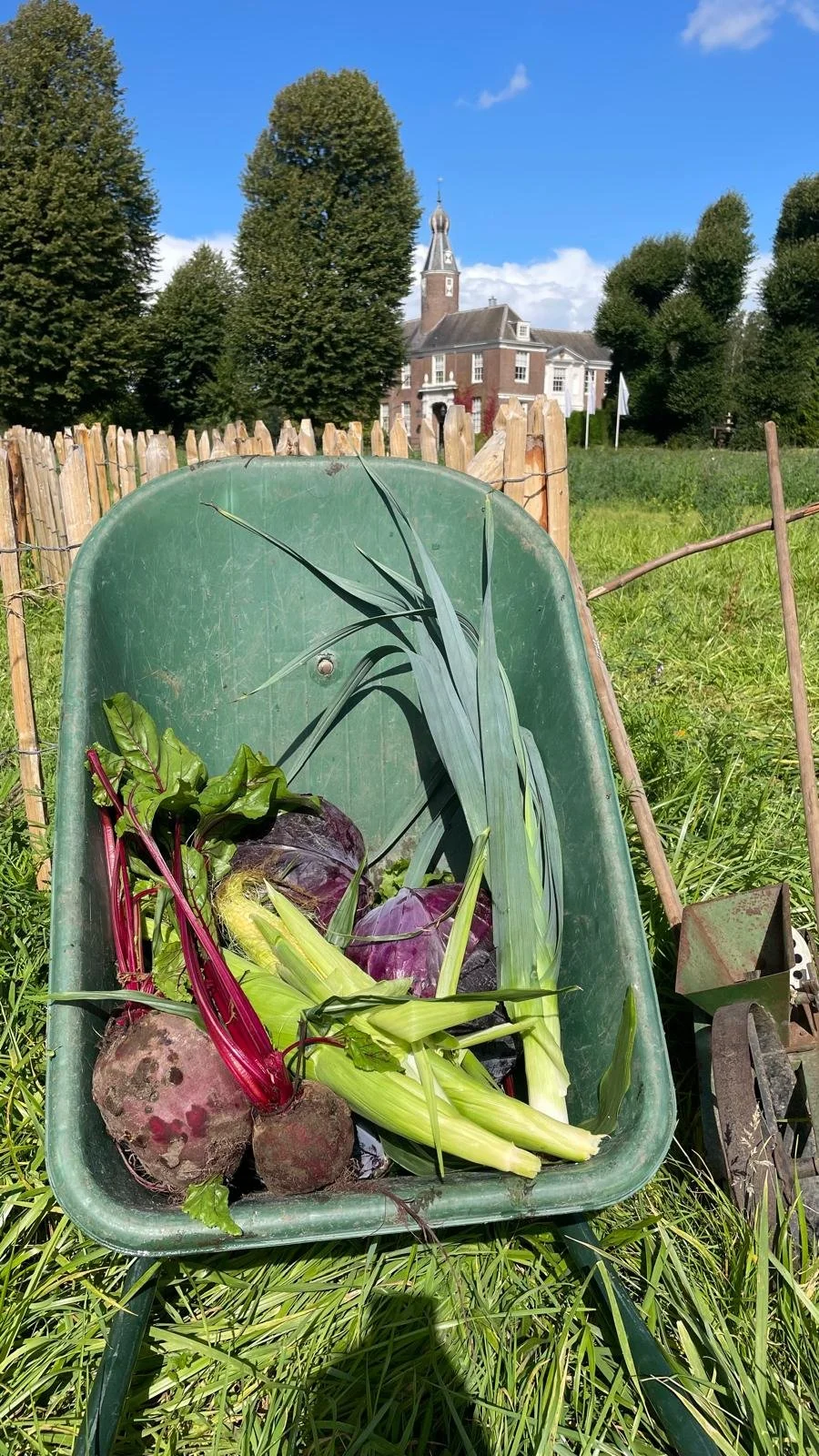 WhatsApp Image 2025-09-02 at 14.59.39 (2).jpeg