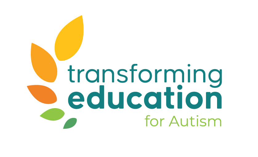 Transforming Education for Autism 