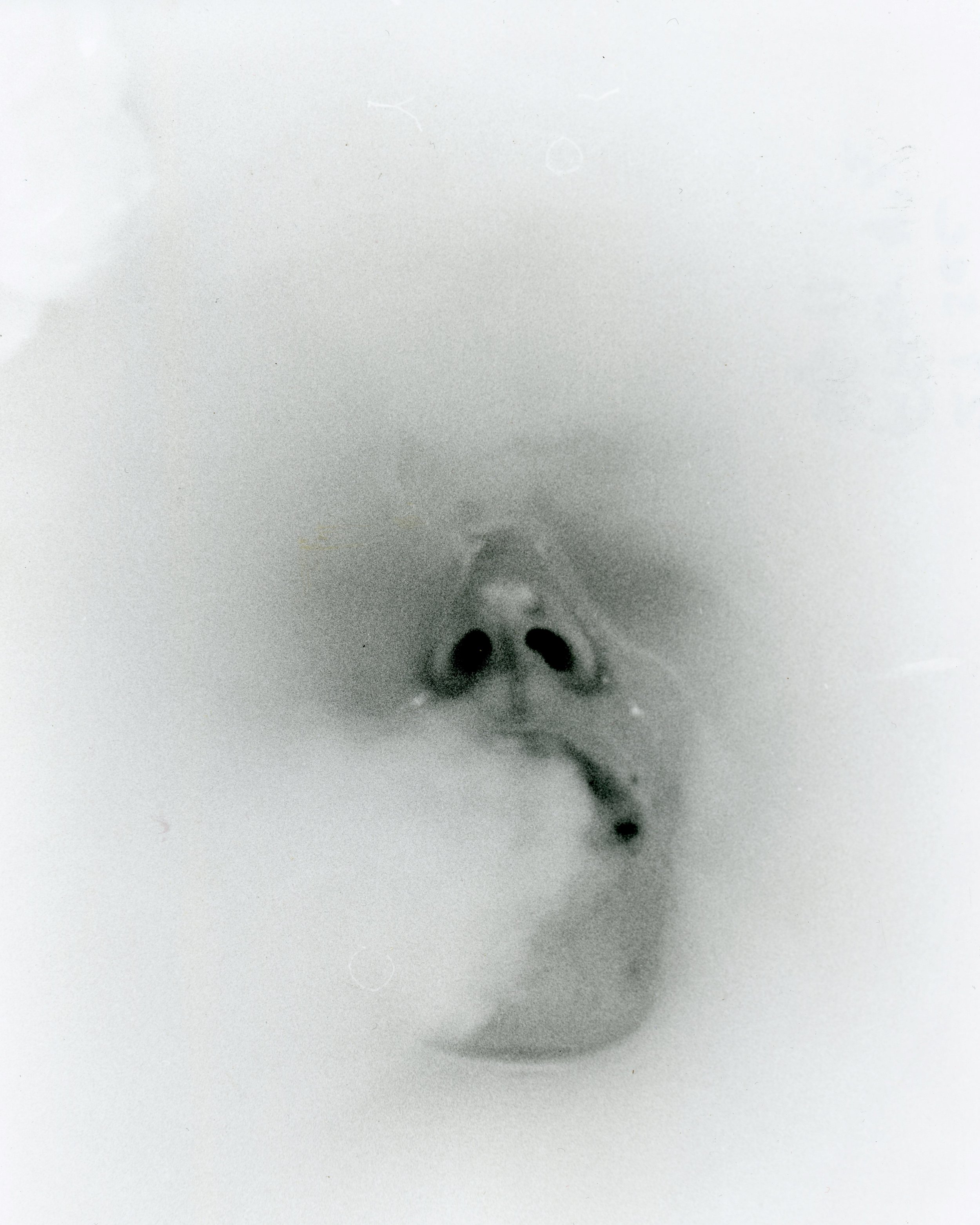Jade (@jadetalbotmusic) Promo Shots ~~~ 35mm ~~~ Pentax LX - Ilford HP5+ (scanned from darkroom prints)