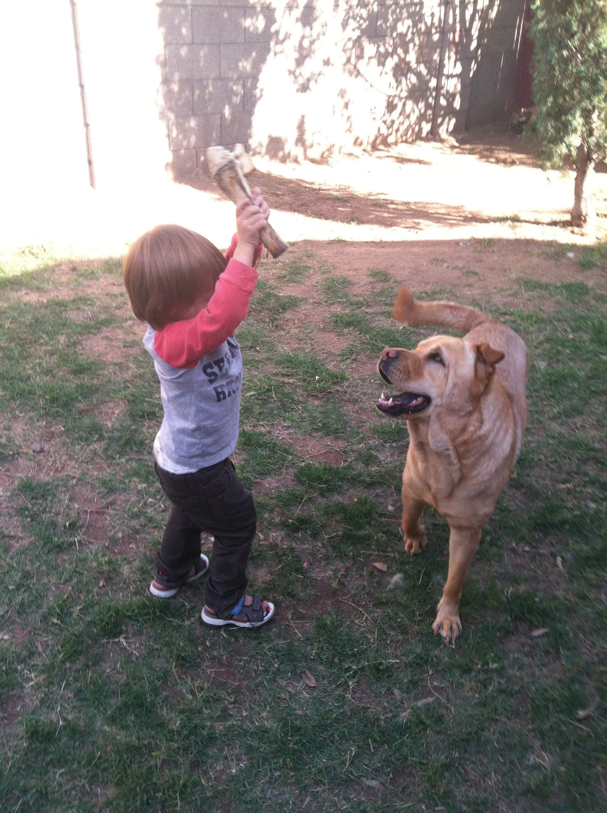 Playing with the kids