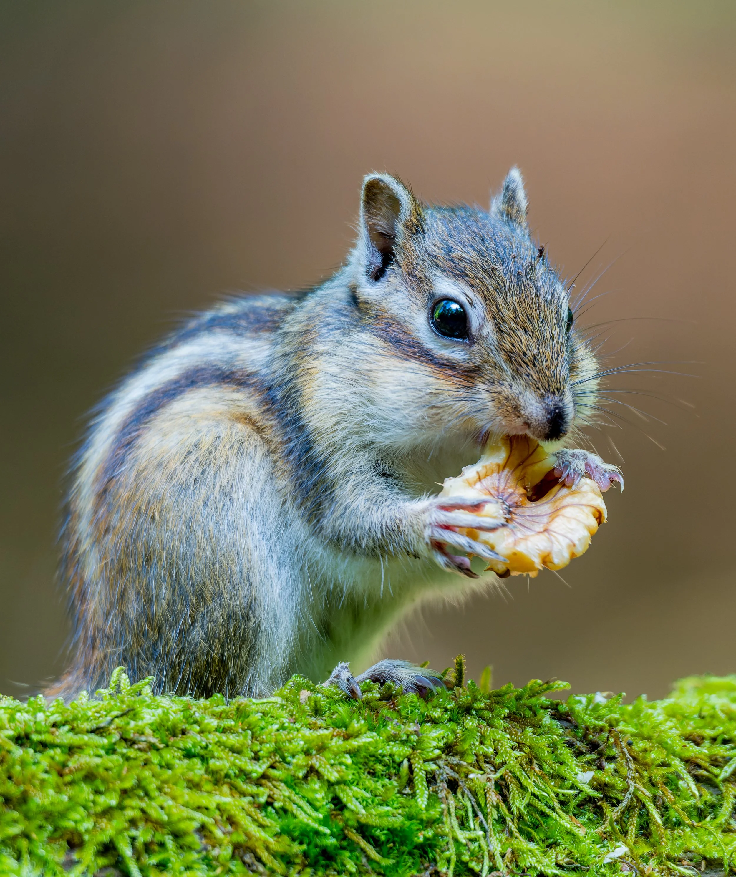 20240507-DSC_7185-NEF_DxO_DeepPRIME-Social media zonder WM.jpg