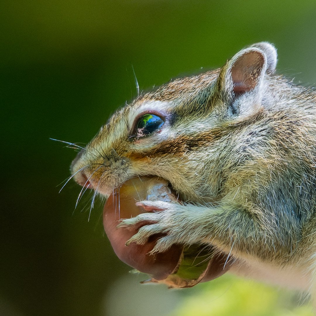 20240514-DSC_0705-NEF_DxO_DeepPRIME-Social media staand zonder logo.jpg