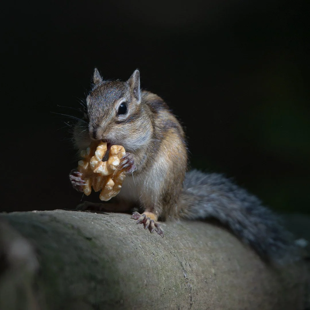 20240507-DSC_7143-Social media vierkant.jpg