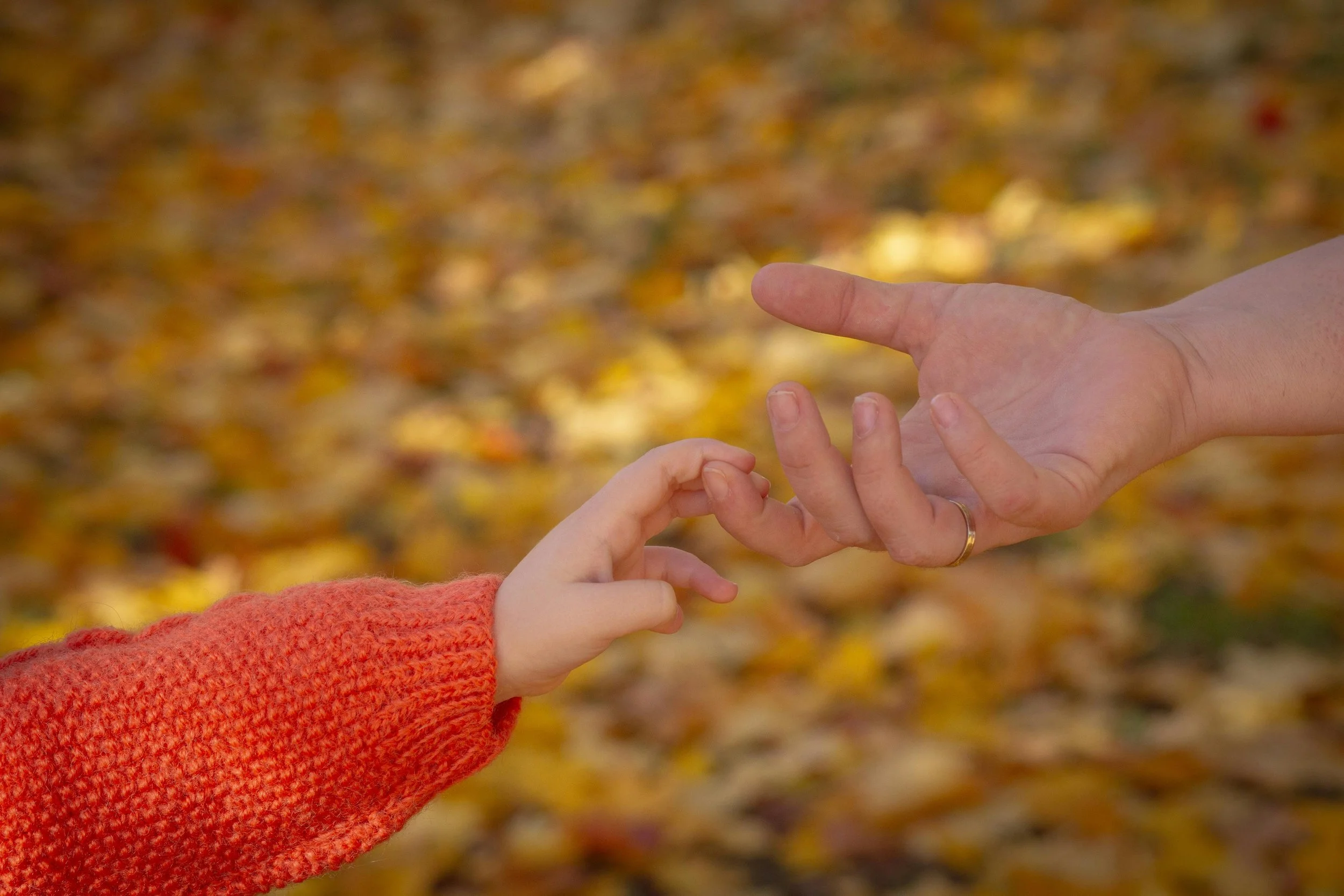 The Tenderness of Transition
