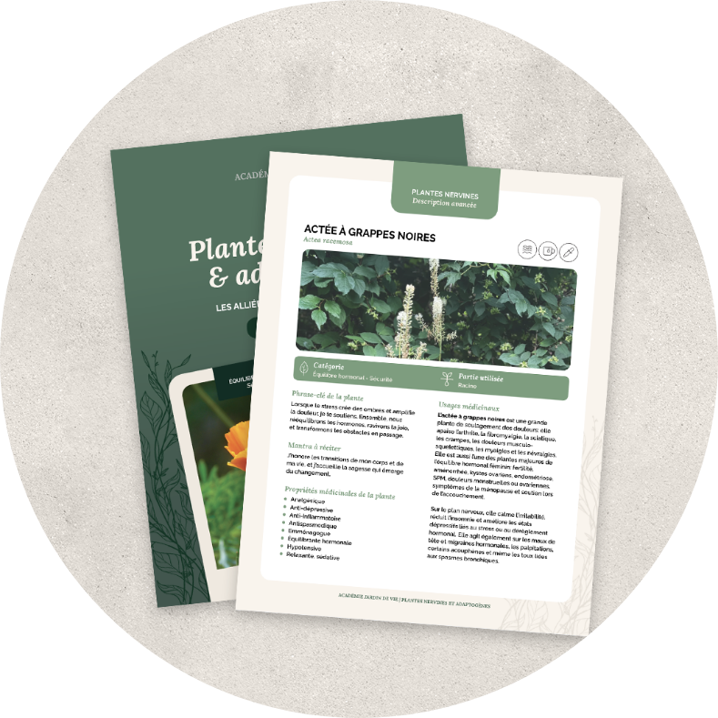Image-Cle-Ebook-Web.png