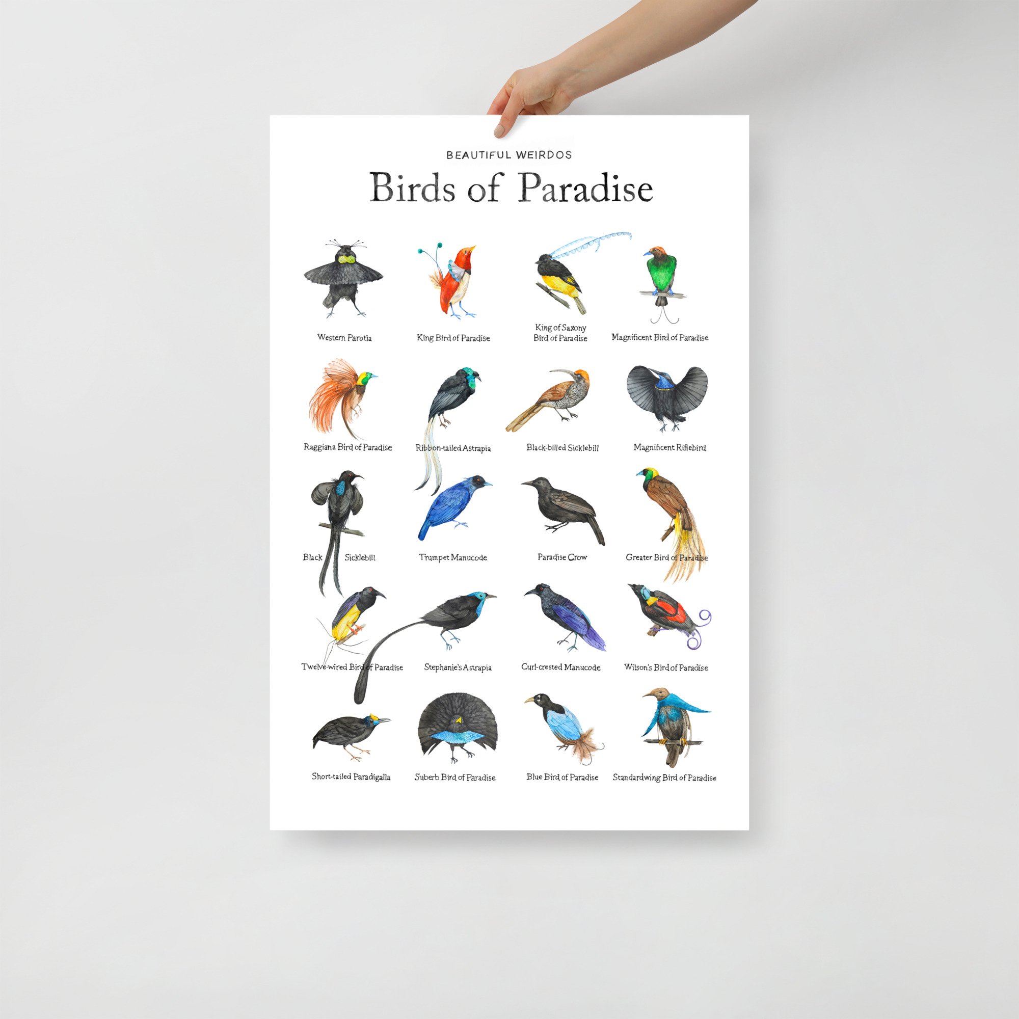 enhanced-matte-paper-poster-(in)-24x36-front-642b74ab0caf8.jpg