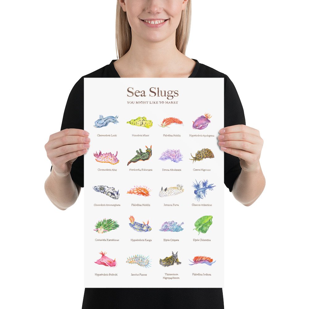 enhanced-matte-paper-poster-(in)-12x18-person-642b75132166c.jpg