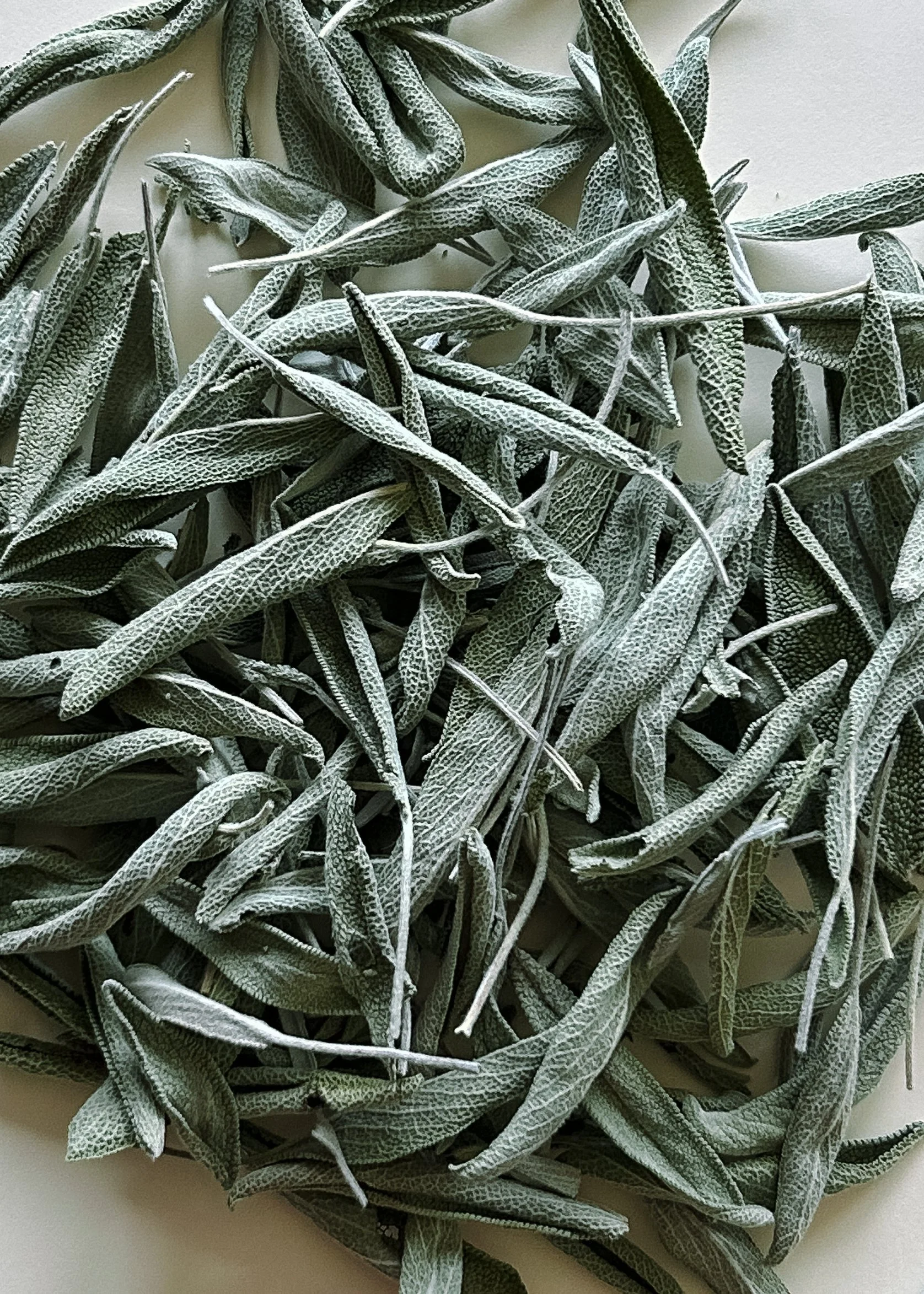 Whole Leaf Sage (dried)