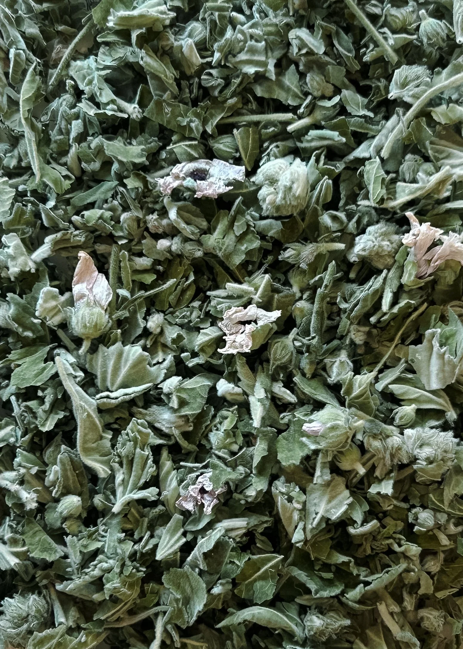 Marshmallow, leaves & flowers (dried)