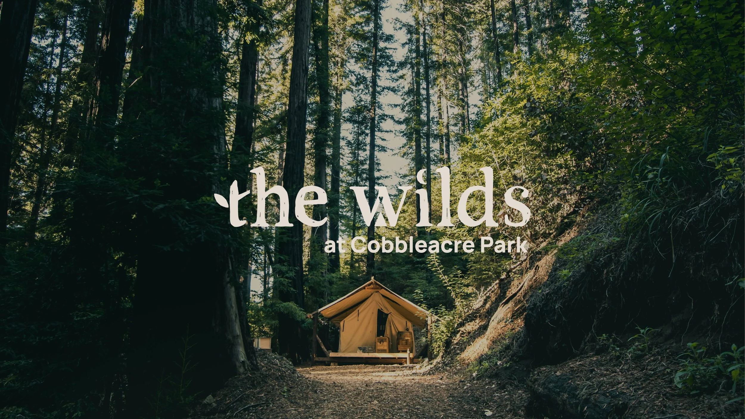 The Wilds-iIdentity concepts2.jpg