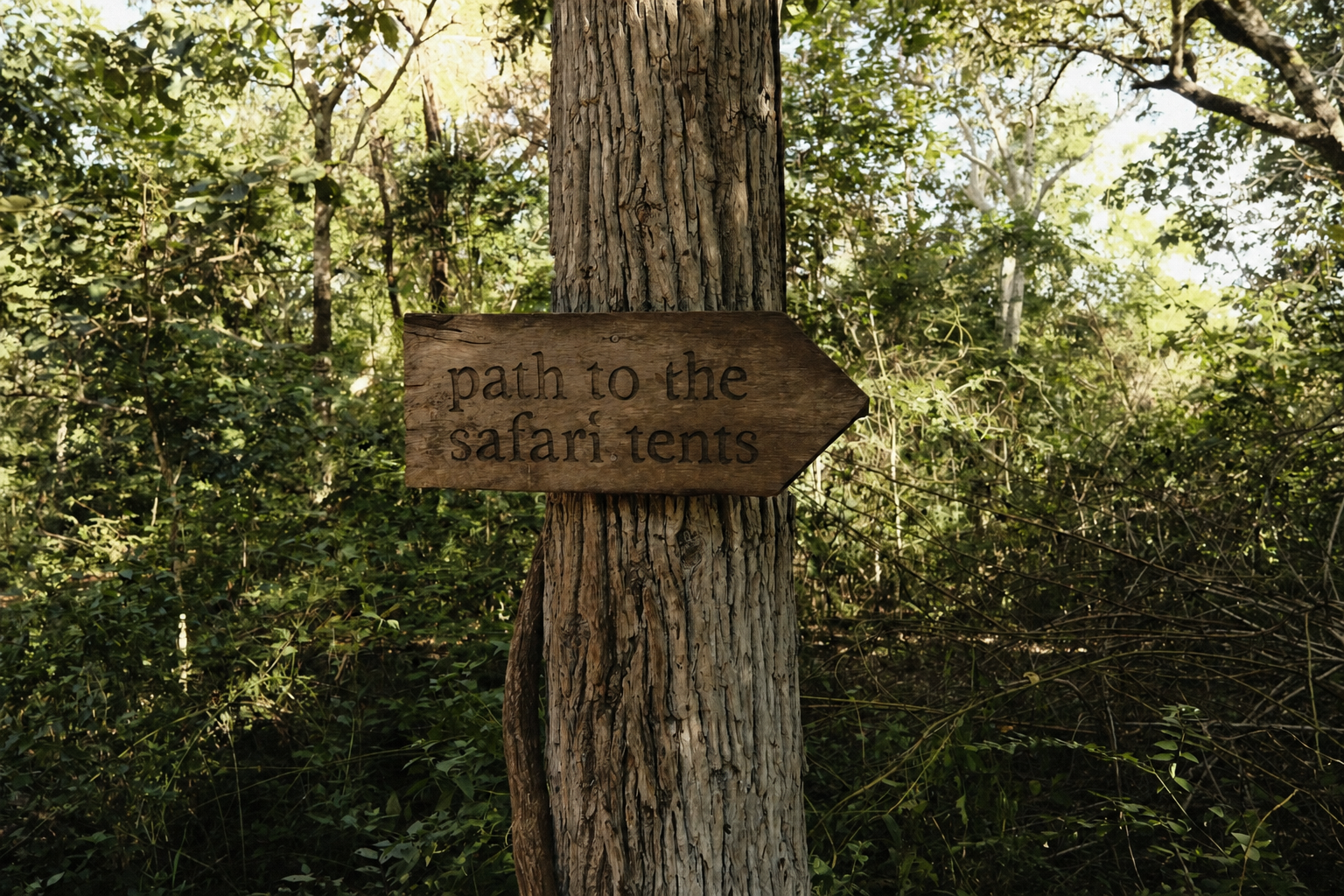 Safari tent sign.png