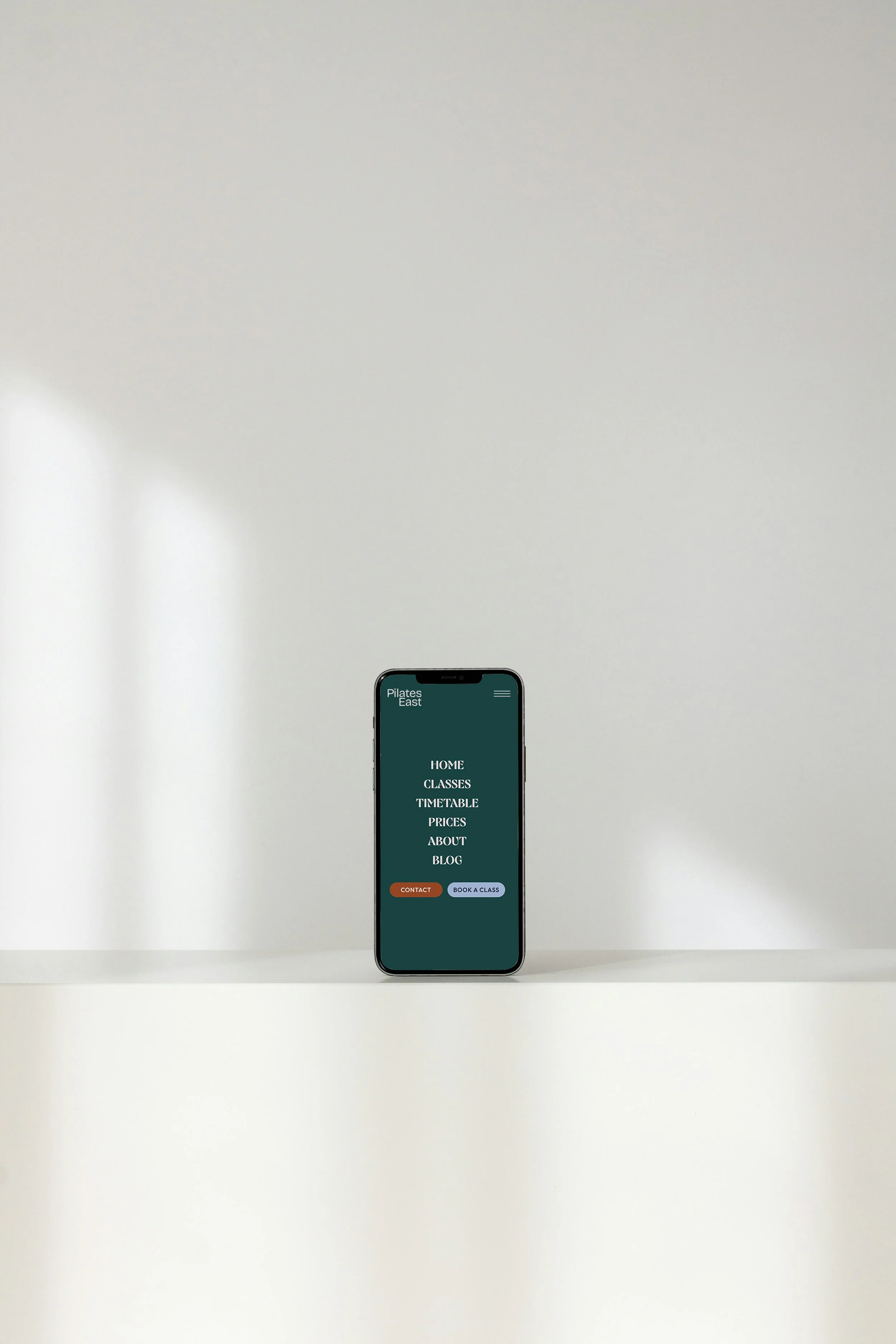 Phone mockup copy.jpg