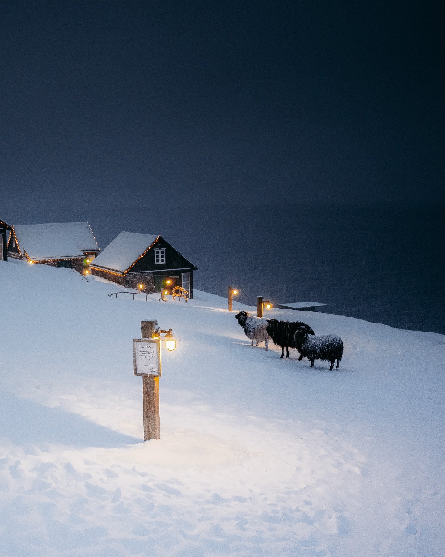 All of a sudden&hellip; winter hit me in the face ❄️
 Coming back to the Faroes after three sunny days in Copenhagen felt like stepping into a different world.

My flight almost didn&rsquo;t make it, there was a full snowstorm at the airport, so we c