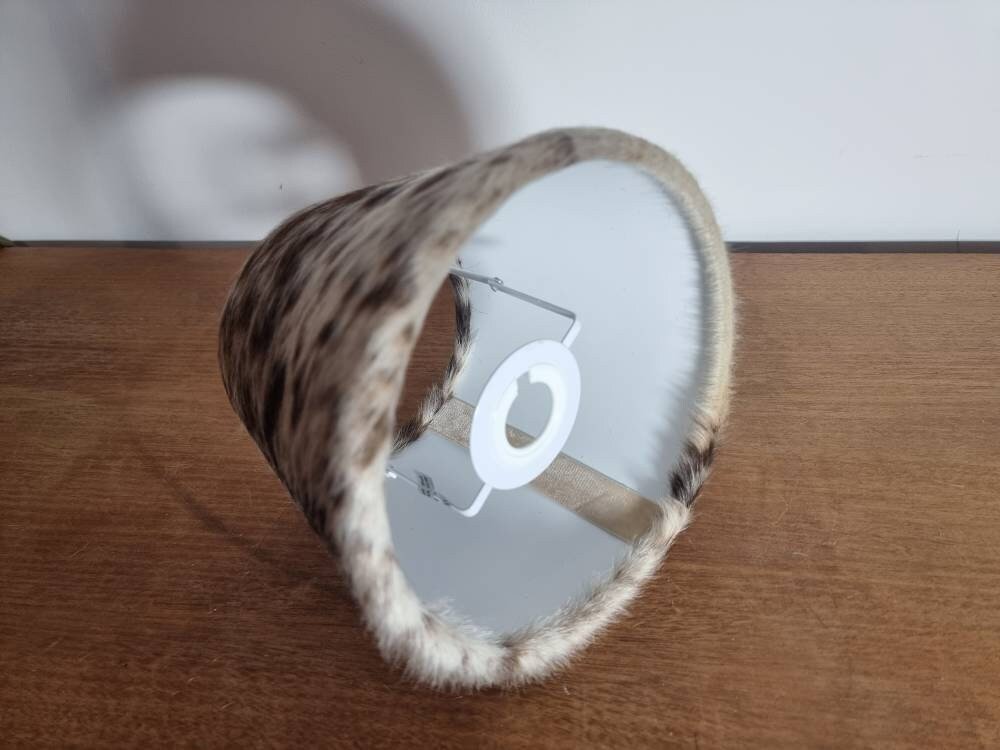 https://i.etsystatic.com/13241360/r/il/2fb415/4895025839/il_fullxfull.4895025839_9db4.jpg
