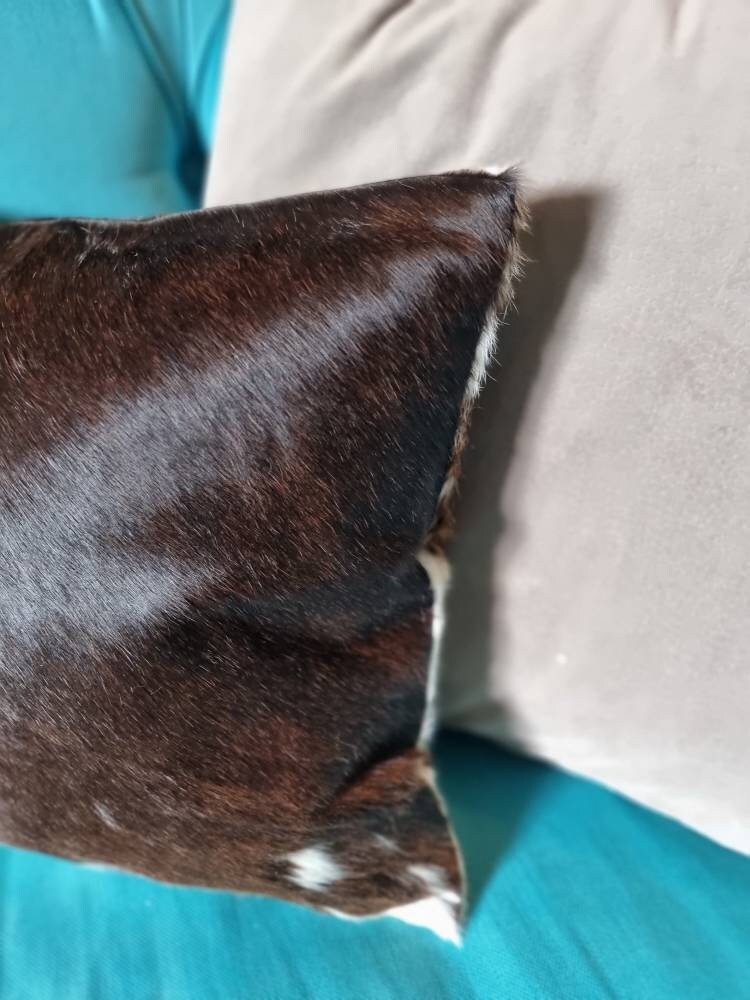 https://i.etsystatic.com/13241360/r/il/c4c6b3/4891061186/il_fullxfull.4891061186_fkc2.jpg