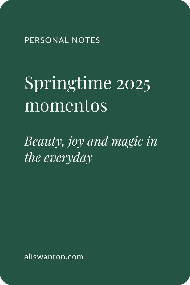 Springtime 2025 momentos