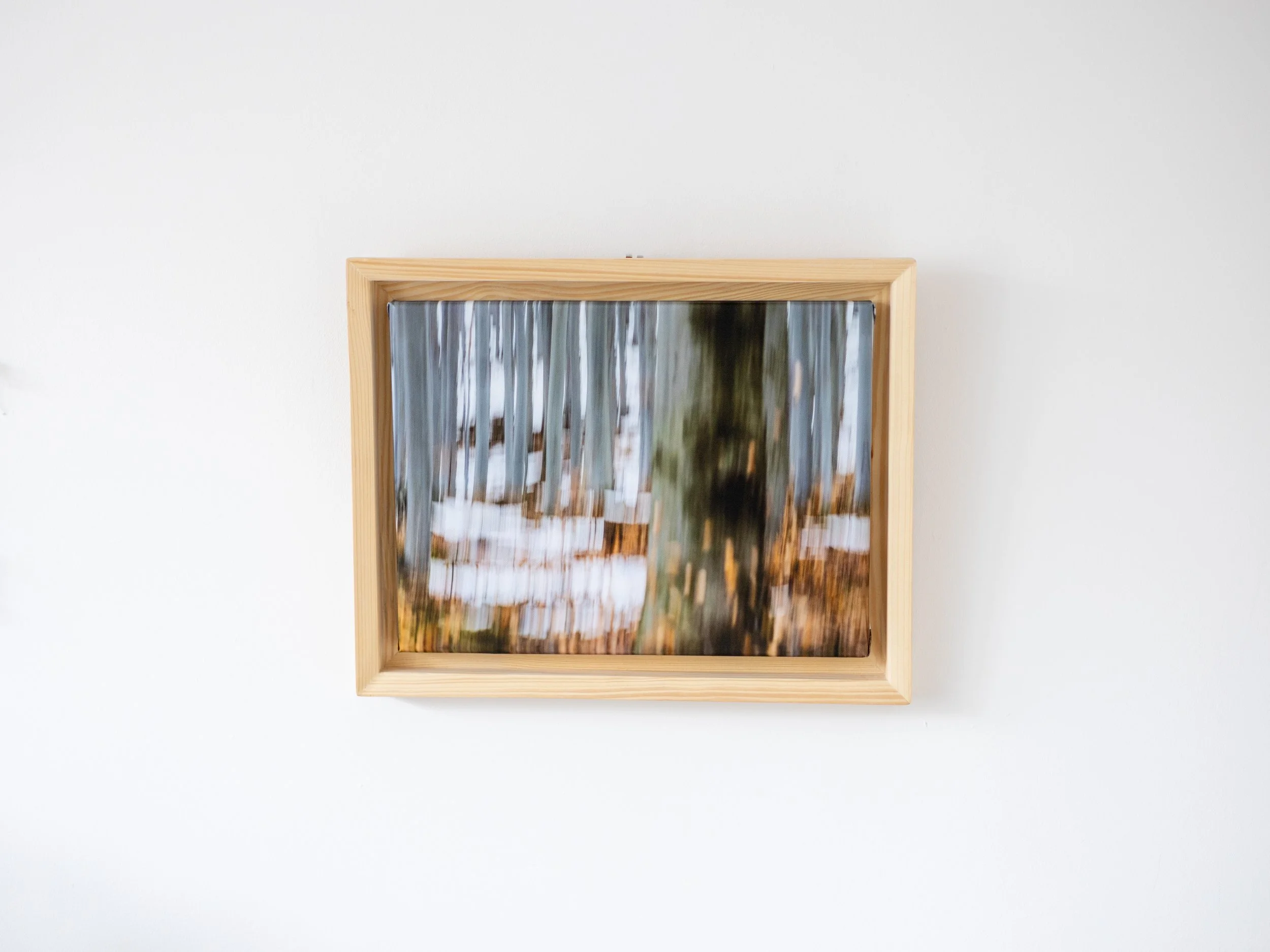Fotografia na płótnie Malowany Las, Zima, 21, 30x40cm