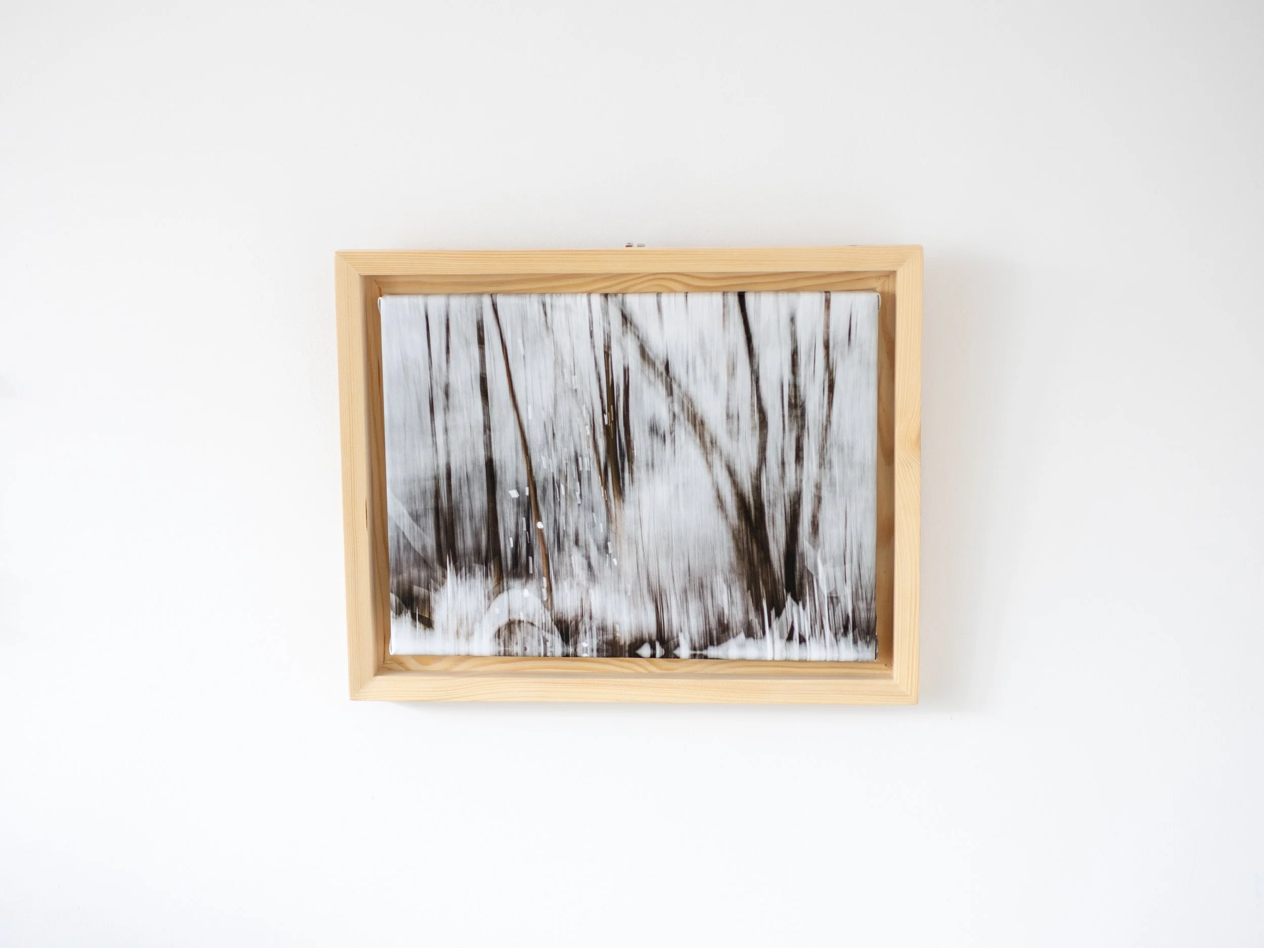 Fotografia na płótnie Malowany Las, Zima, 04, 30x40cm