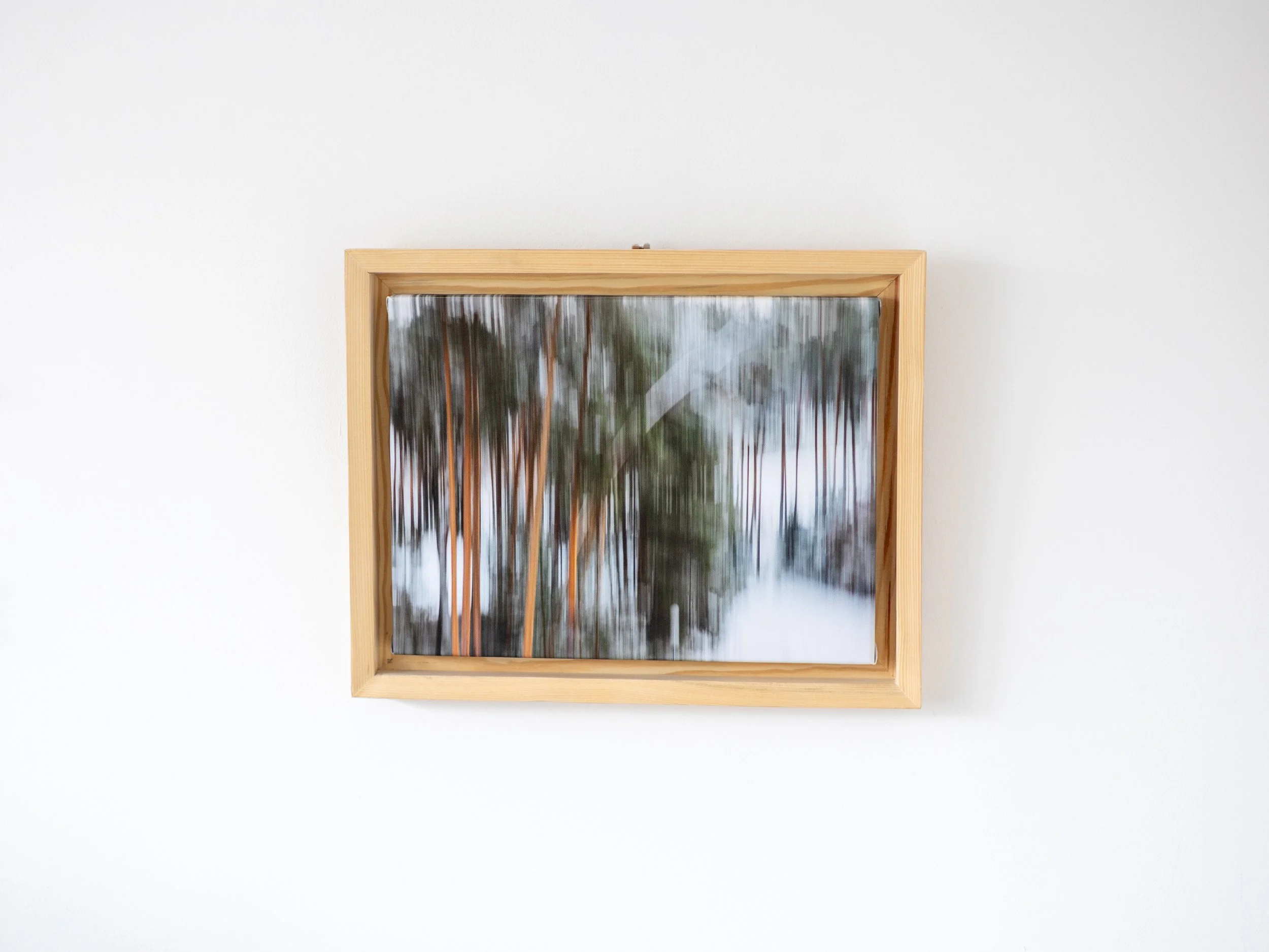 Fotografia na płótnie Malowany Las, Zima, 13, 30x40cm