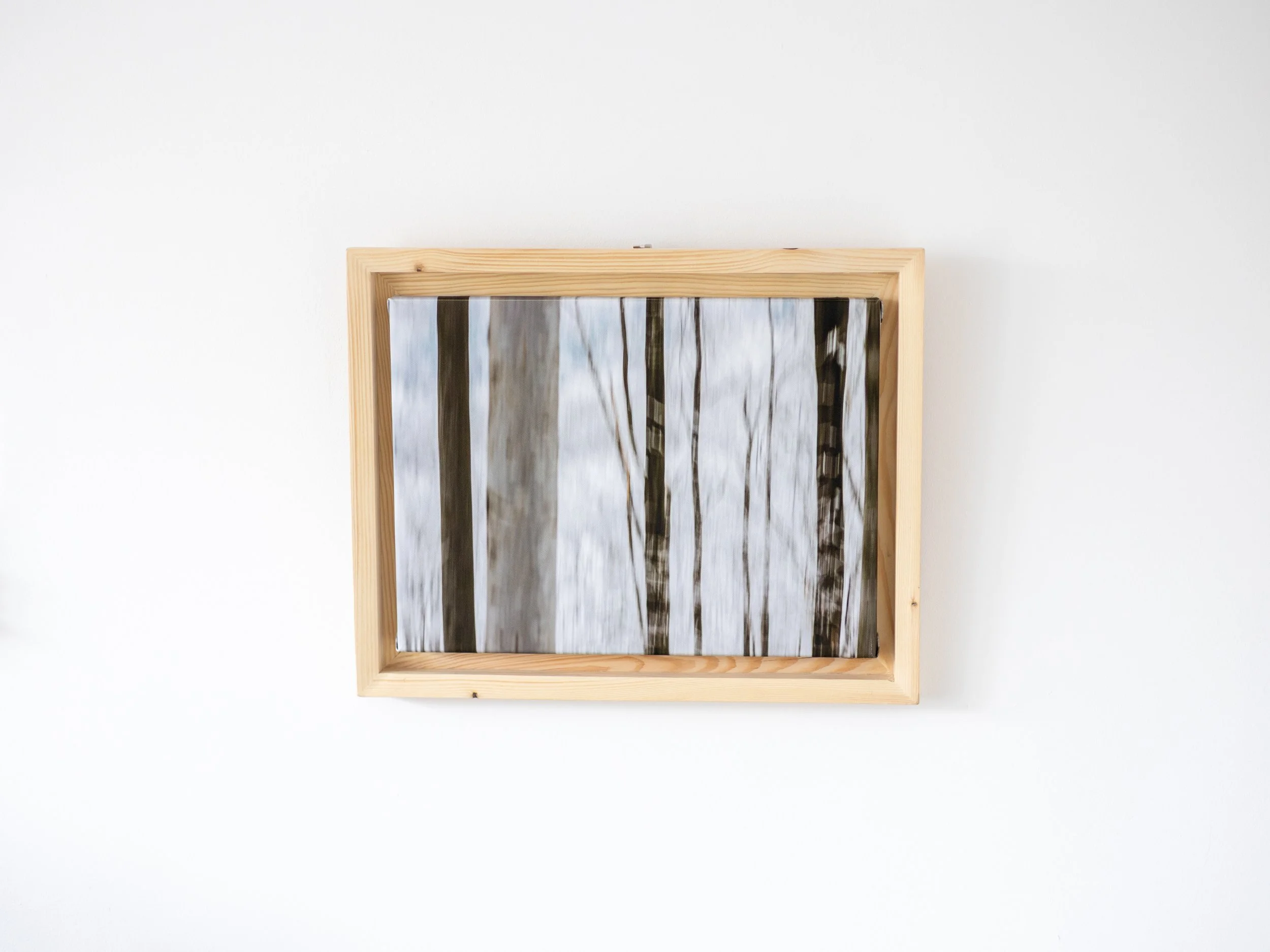 Fotografia na płótnie Malowany Las, Zima, 20, 30x40cm