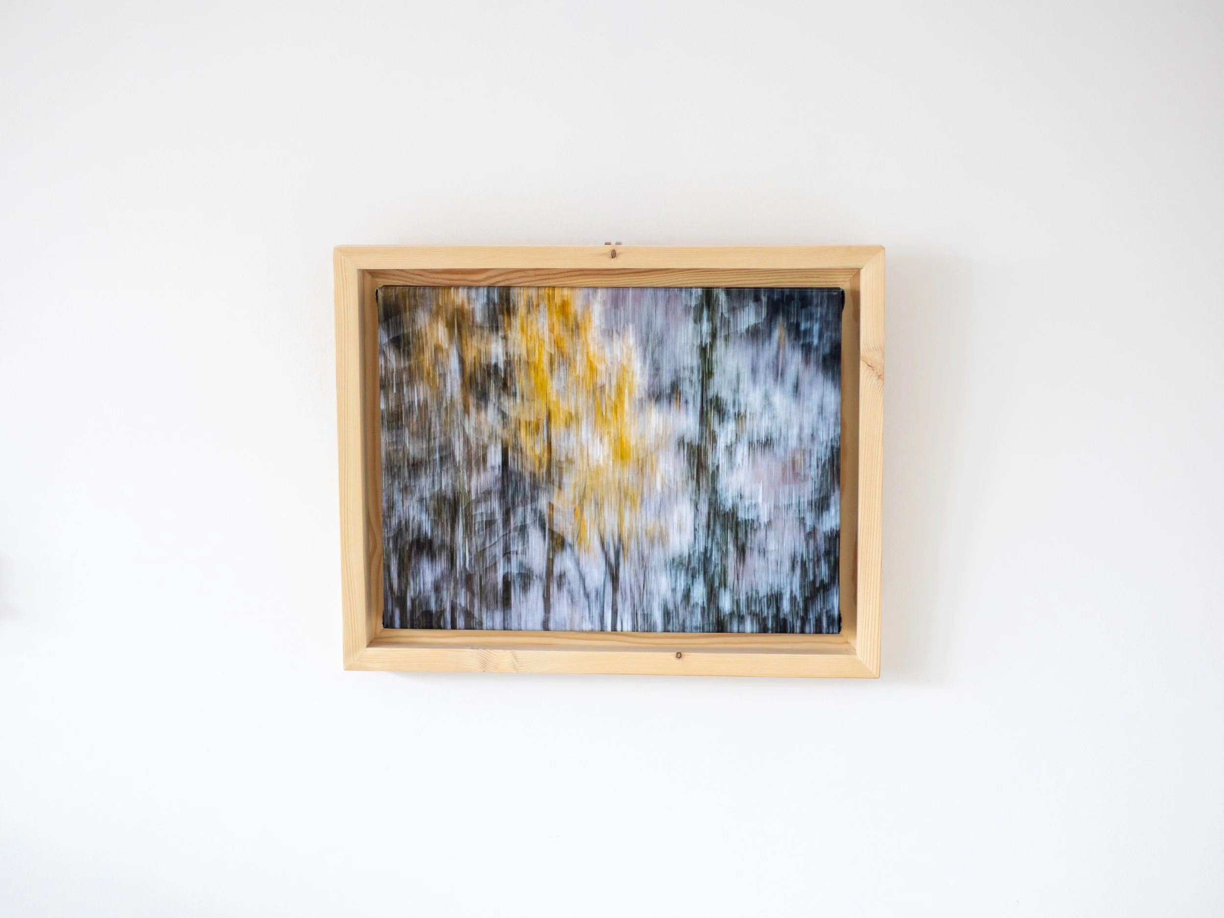 Fotografia na płótnie Malowany Las, Zima, 19, 30x40cm