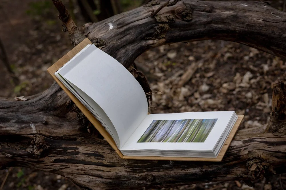Malowany Las_The Painted Woods_02.jpg