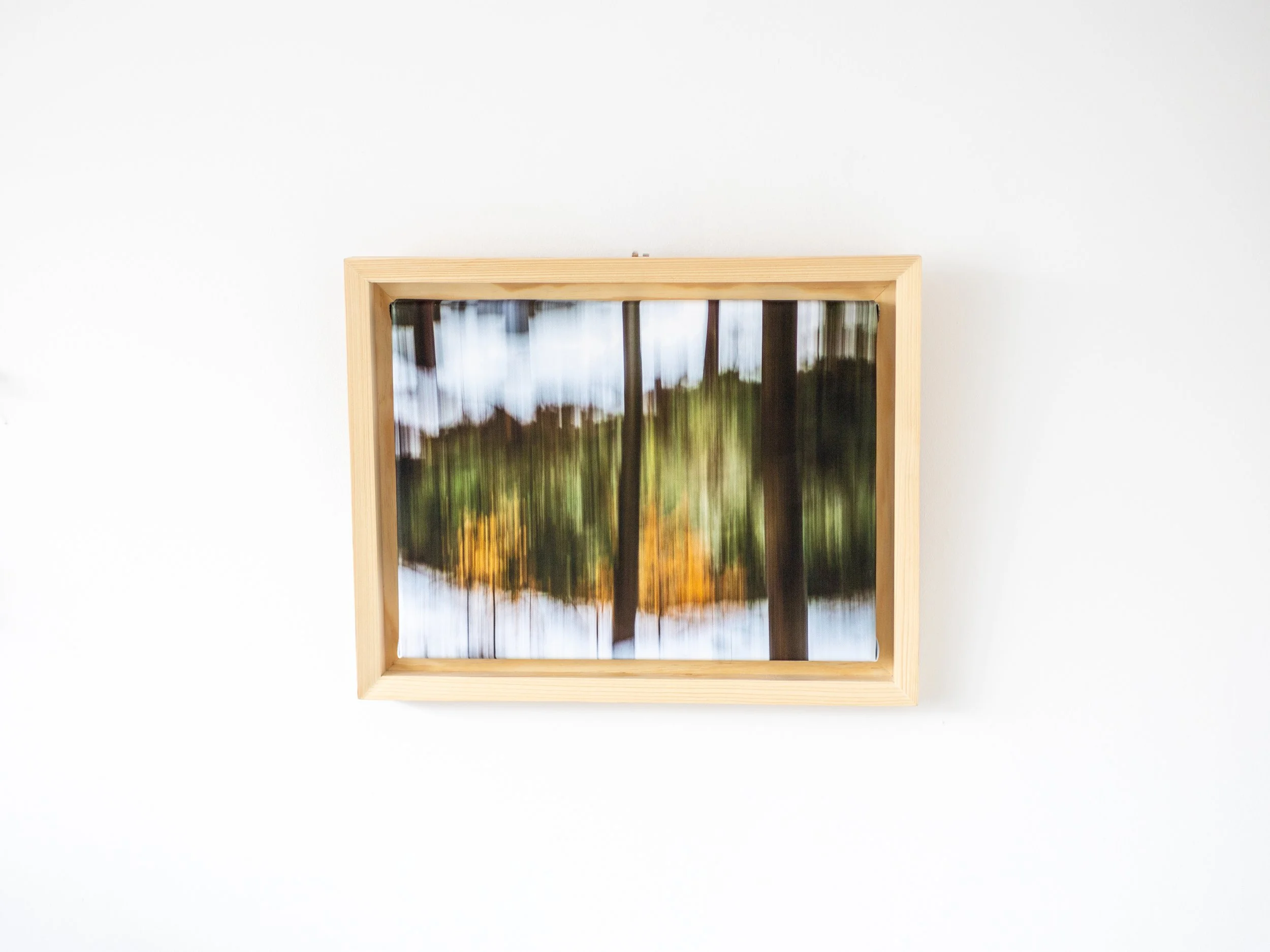 Fotografia na płótnie Malowany Las, Zima, 09, 30x40cm