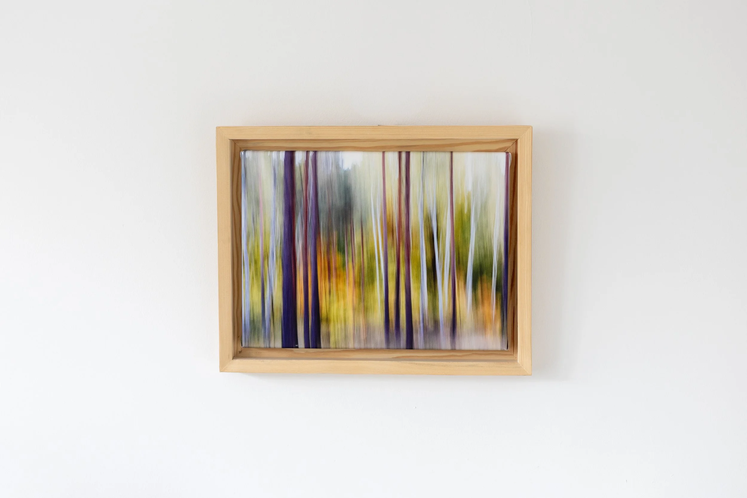 Fotografia na płótnie Malowany Las, Jesień, 03, 30x40cm