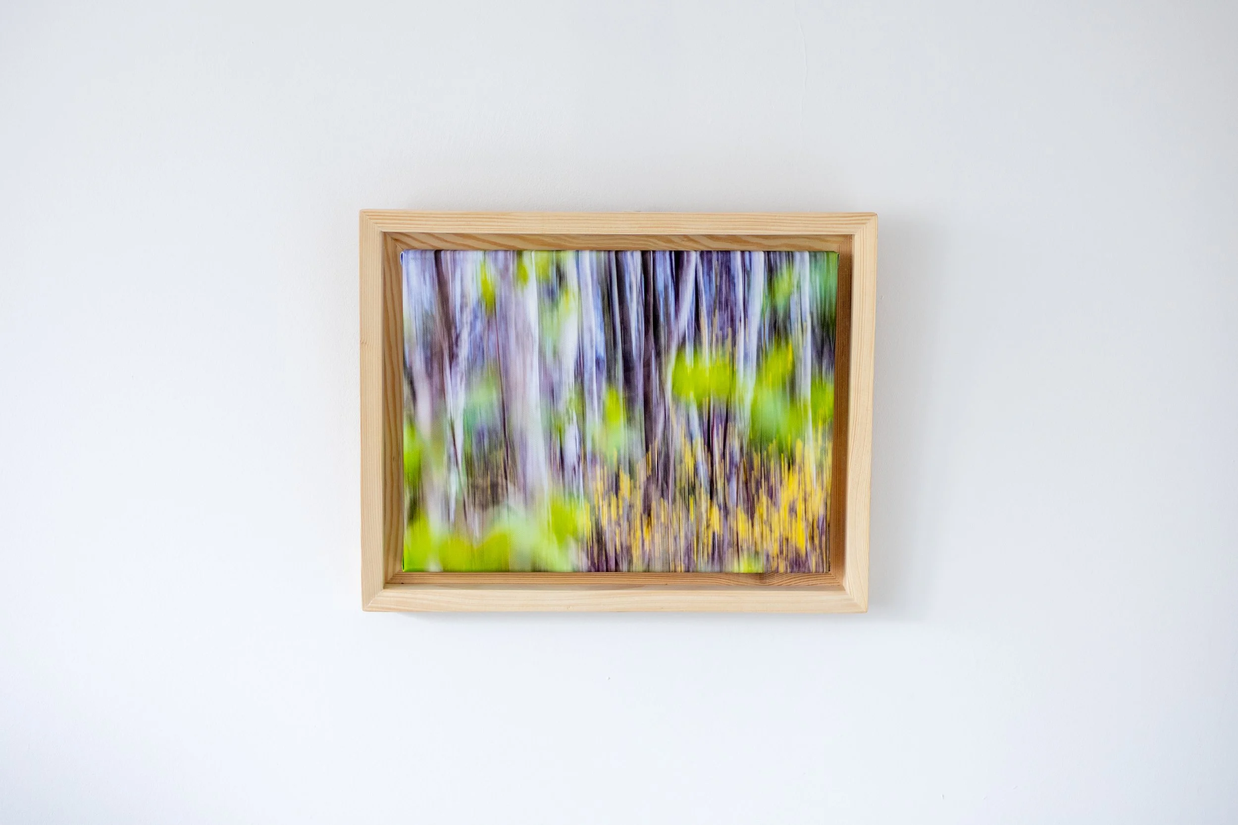 Fotografia na płótnie Malowany Las, Wiosna, 04, 30x40cm