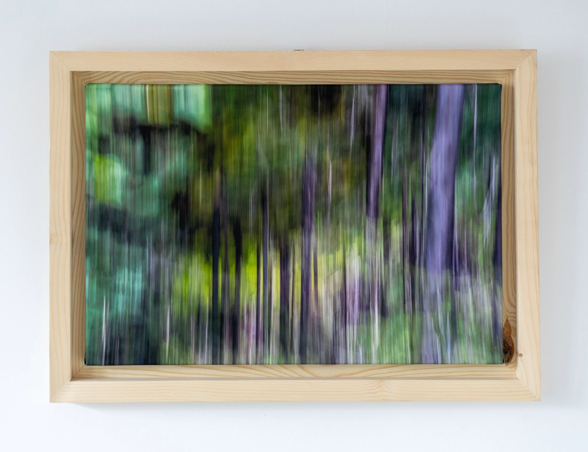 Fotografia na płótnie Malowany Las, Lato, 28, 40x60cm