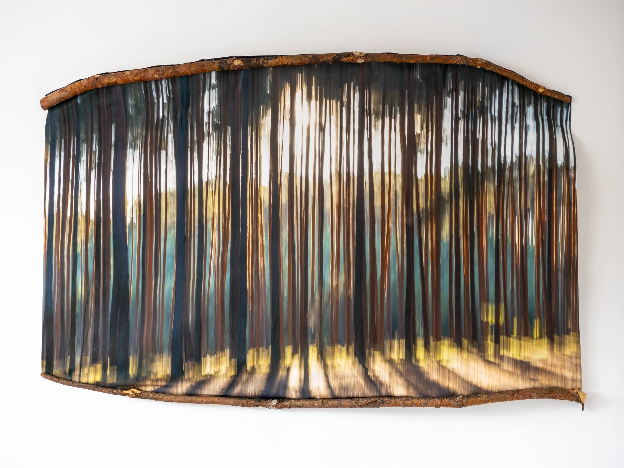 Fotografia na płótnie Malowany Las, Lato, 01, 100x150cm