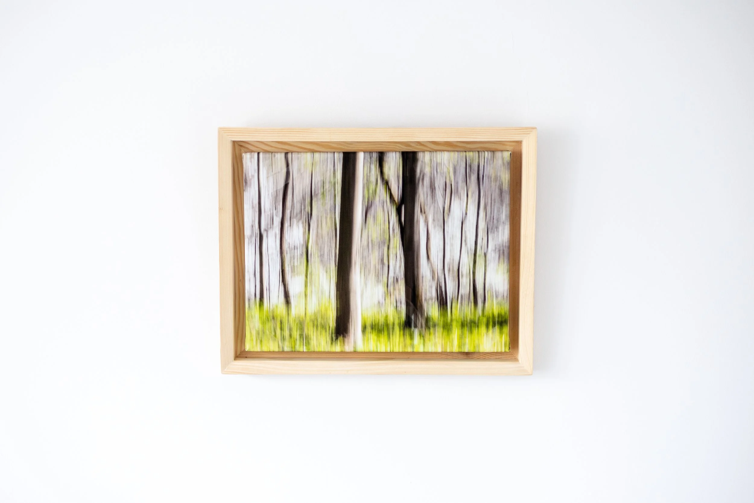 Fotografia na płótnie Malowany Las, Wiosna, 05, 30x40cm