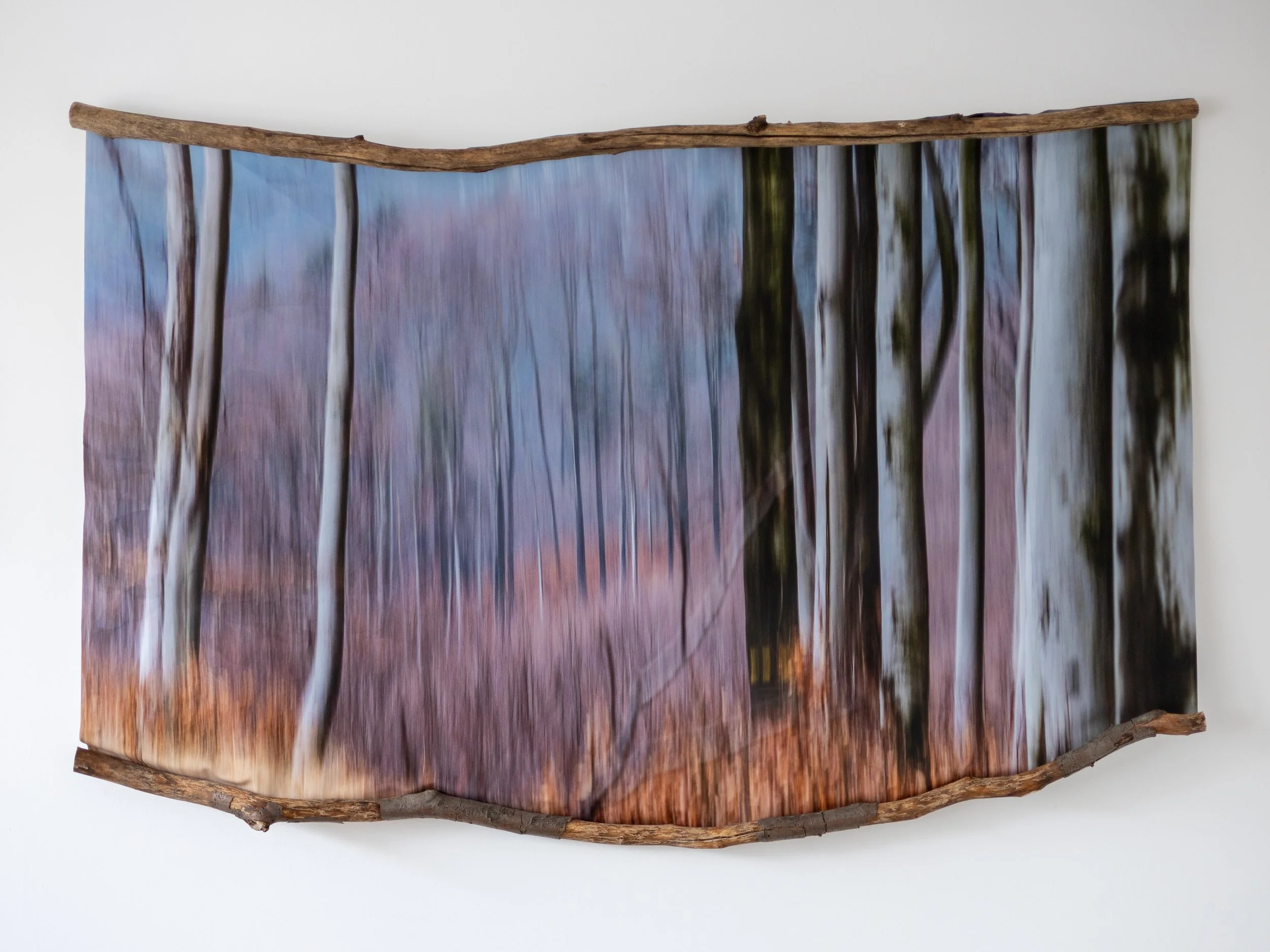 Fotografia na płótnie Malowany Las, Jesień, 02, 100x150cm