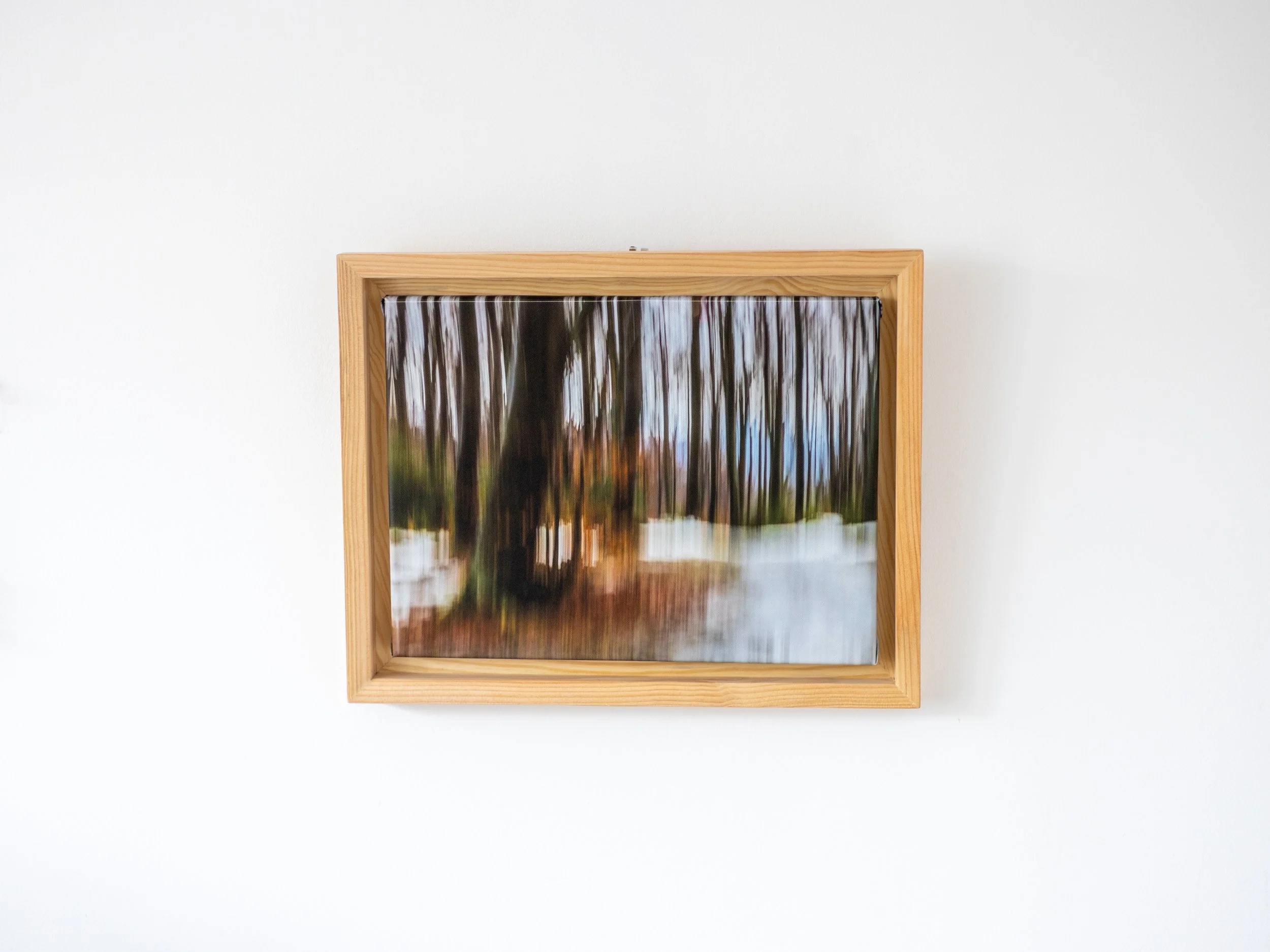 Fotografia na płótnie Malowany Las, Zima, 07, 30x40cm