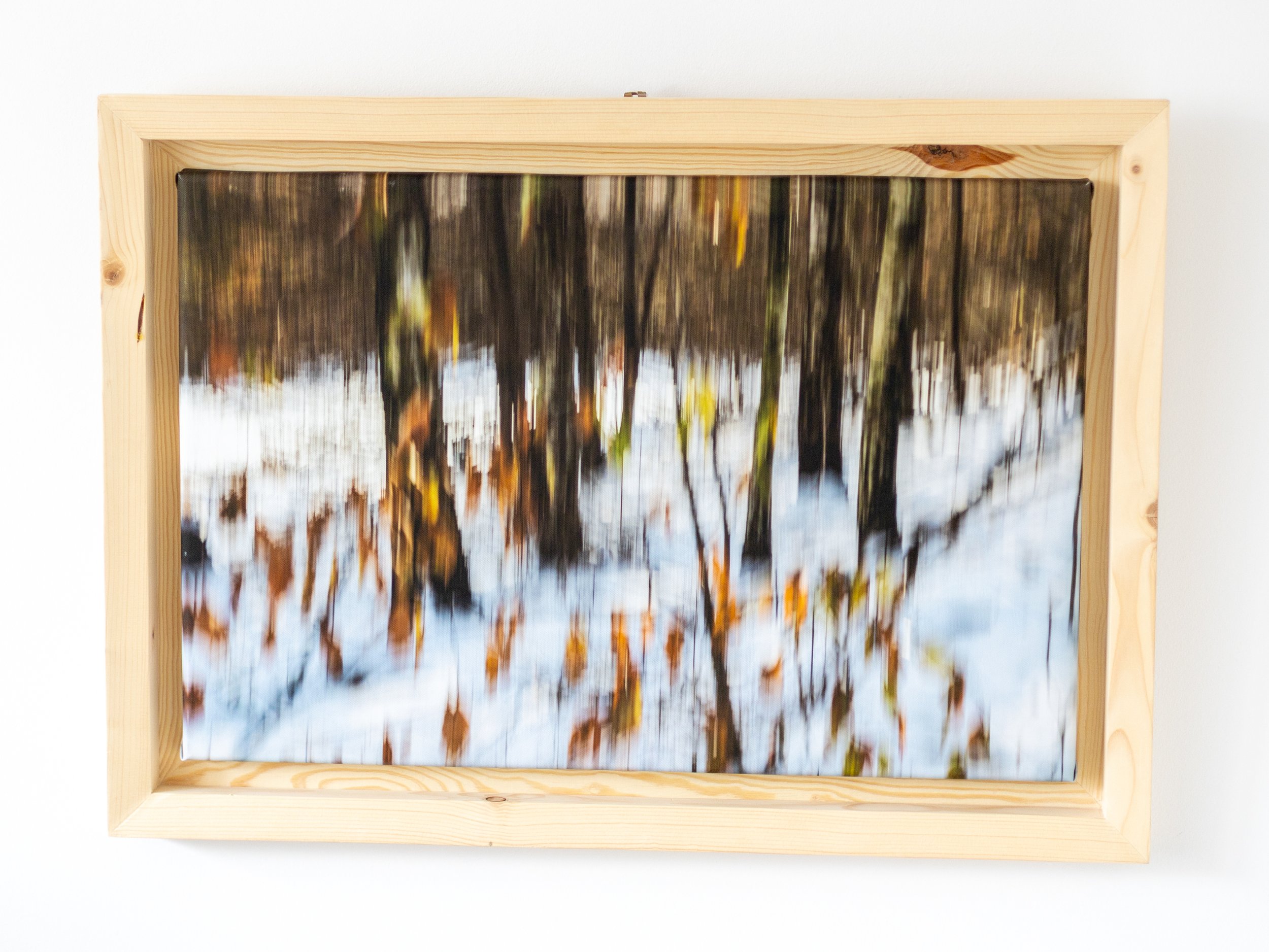 Fotografia na płótnie Malowany Las, Zima, 22, 40x60cm