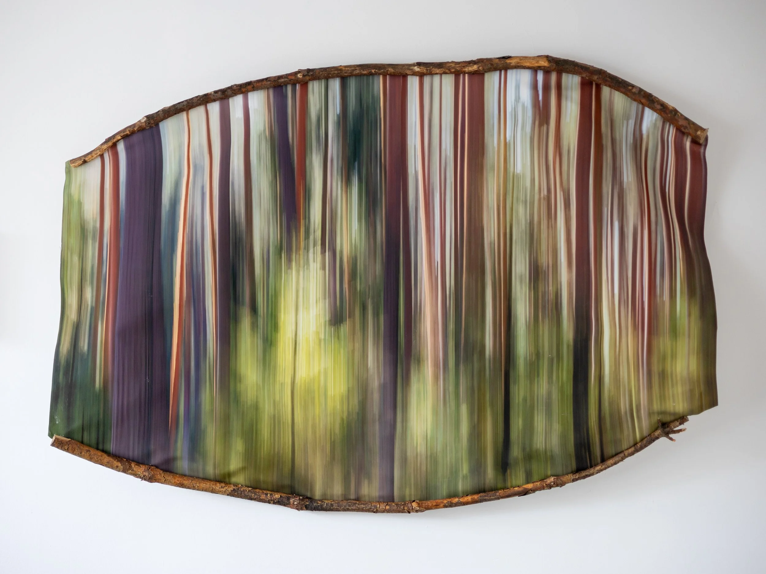 Fotografia na płótnie Malowany Las, Lato, 02, 100x150cm