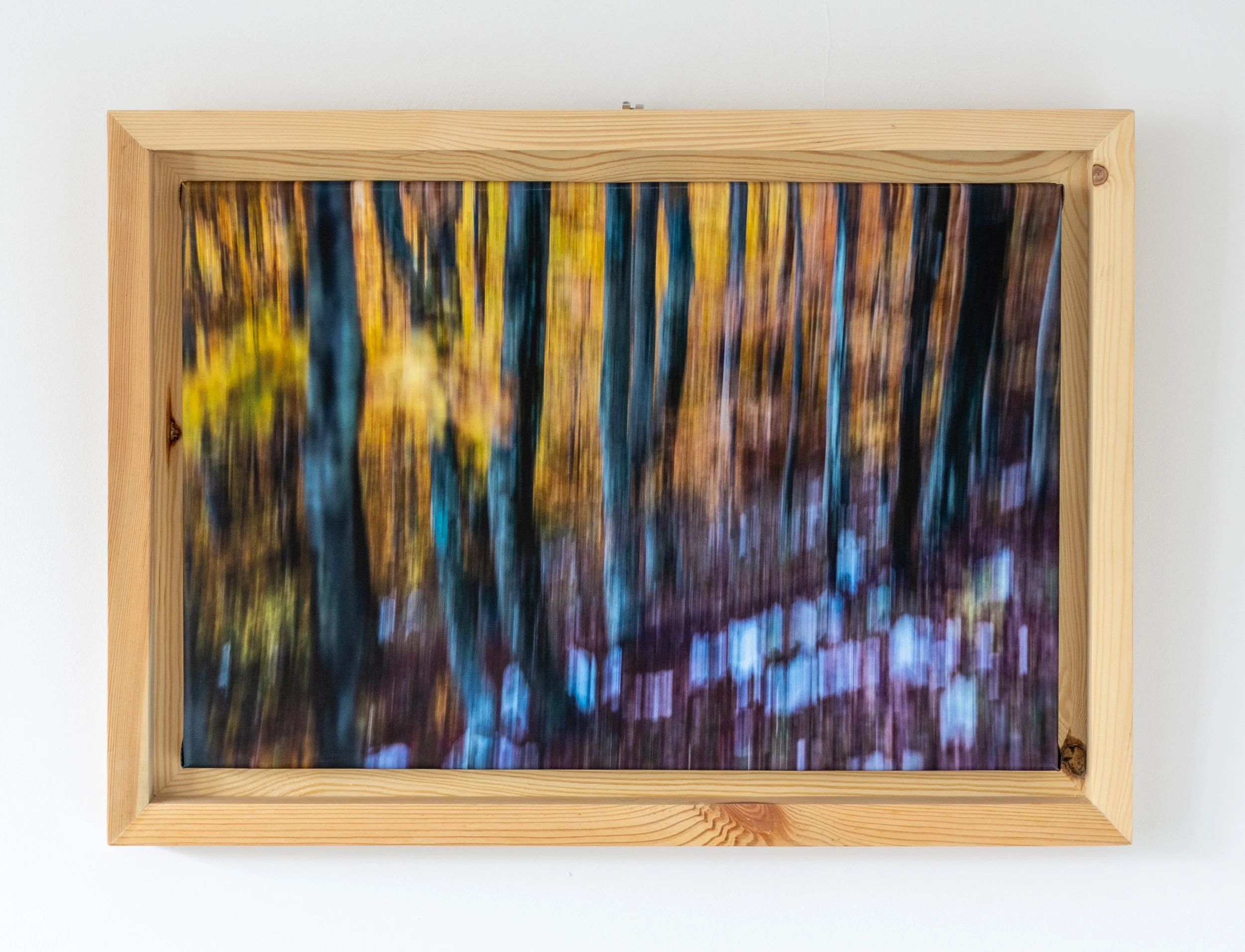 Fotografia na płótnie Malowany Las, Jesień, 24, 40x60cm