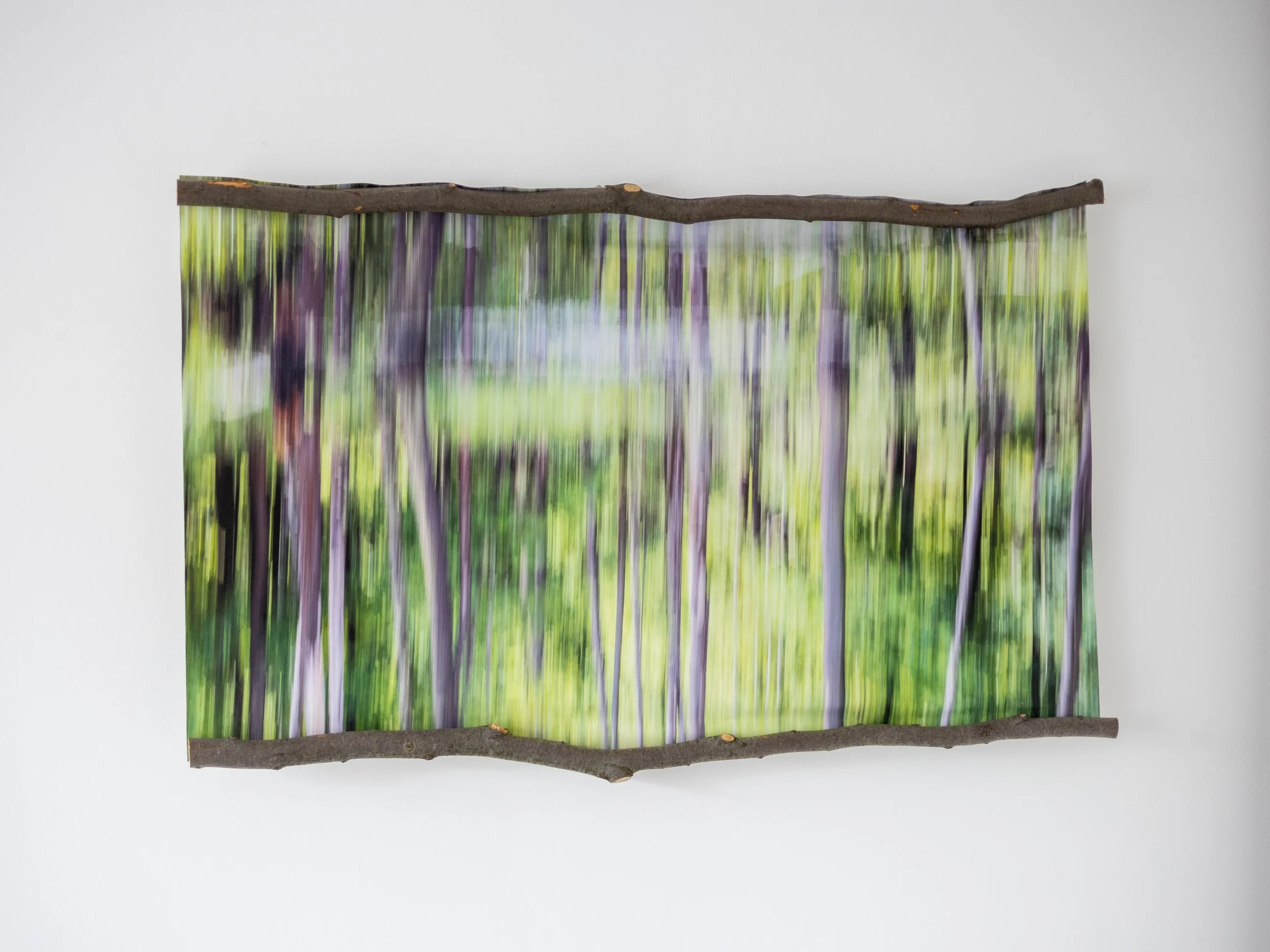 Fotografia na płótnie Malowany Las, Wiosna, 02, 60x90cm