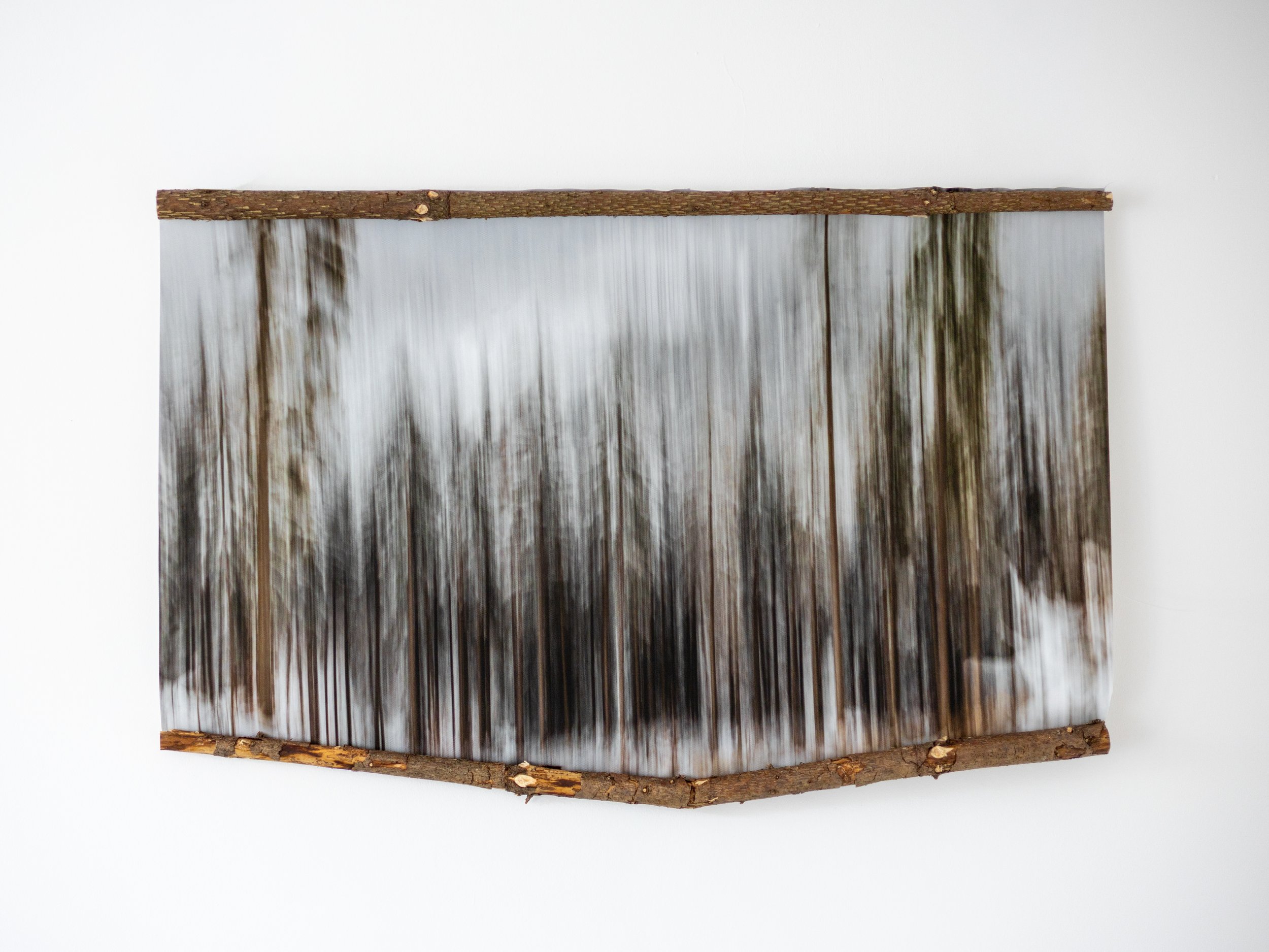 Fotografia na płótnie Malowany Las, Zima, 02, 60x90cm