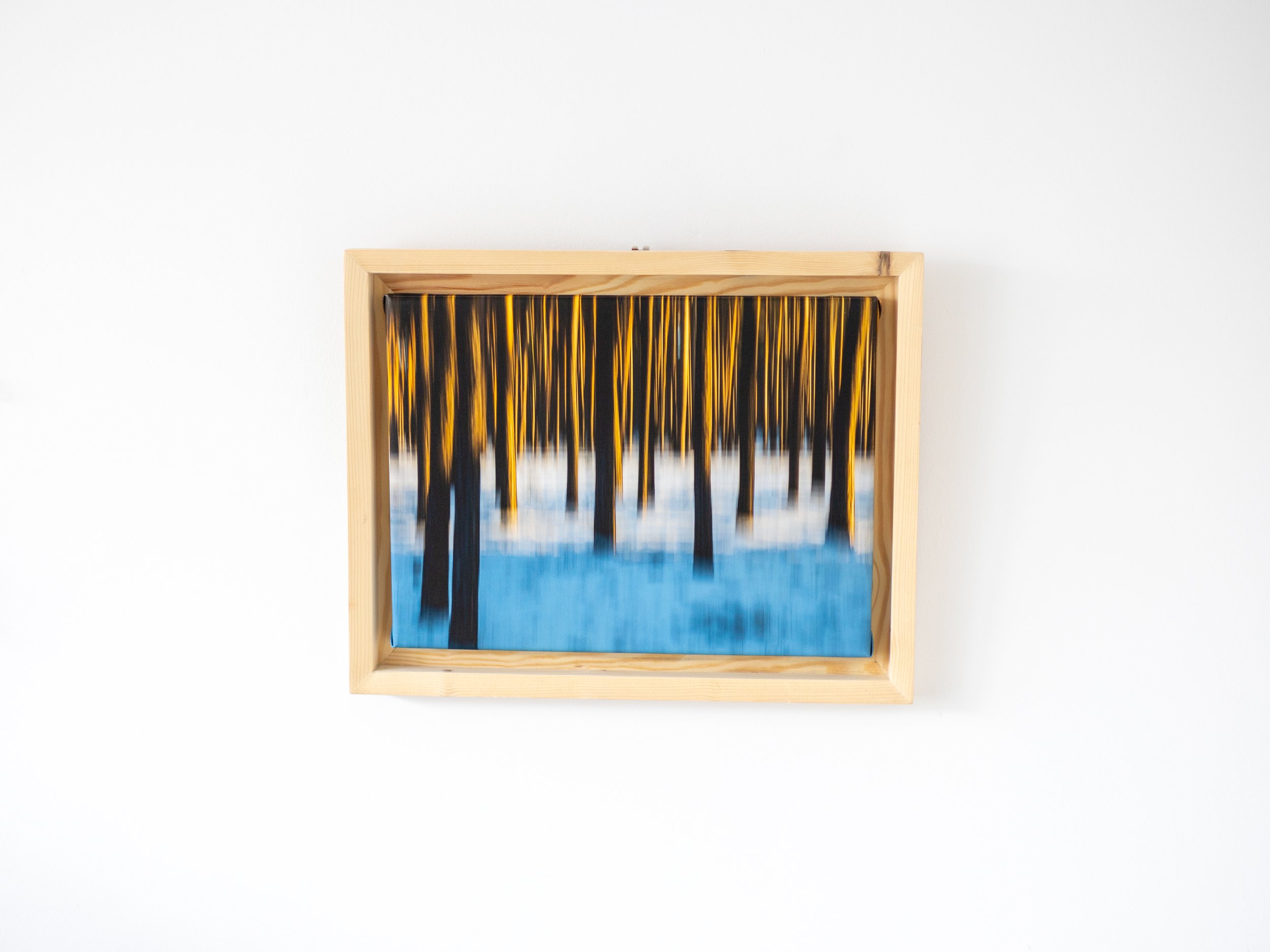 Fotografia na płótnie Malowany Las, Zima, 14, 30x40cm